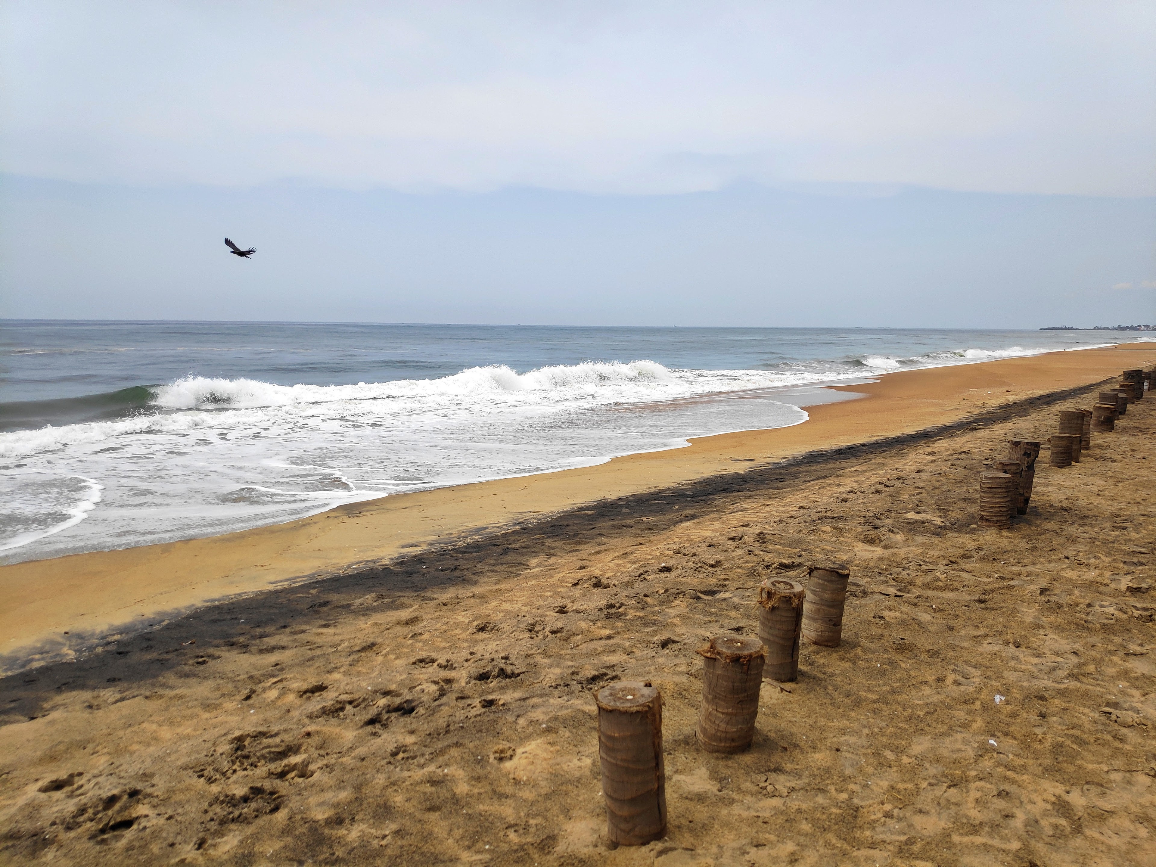 Ideal Beach Resort, Mahabalipuram — photo 7