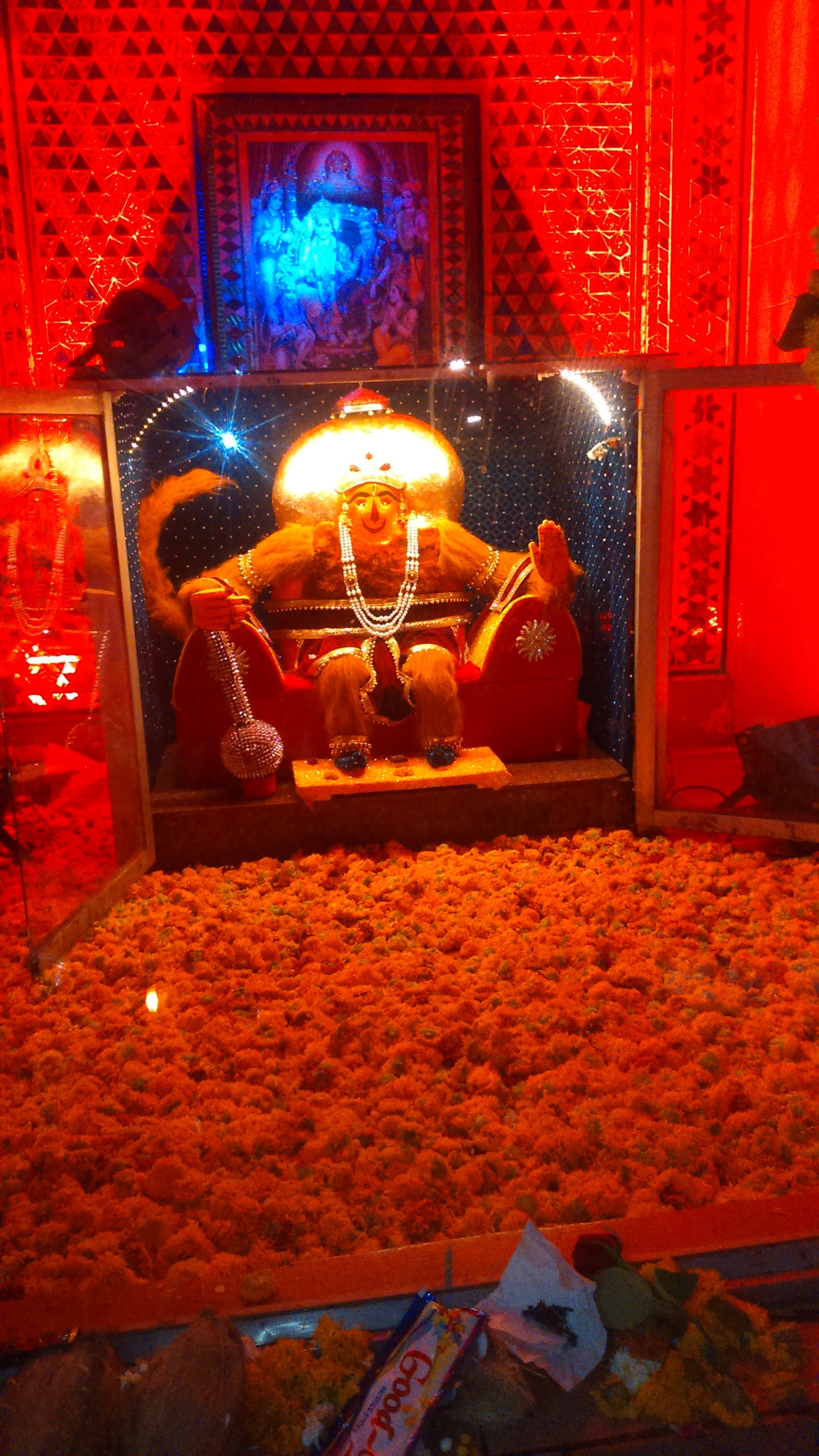 Shree Devleela Garden, Indore — photo 6