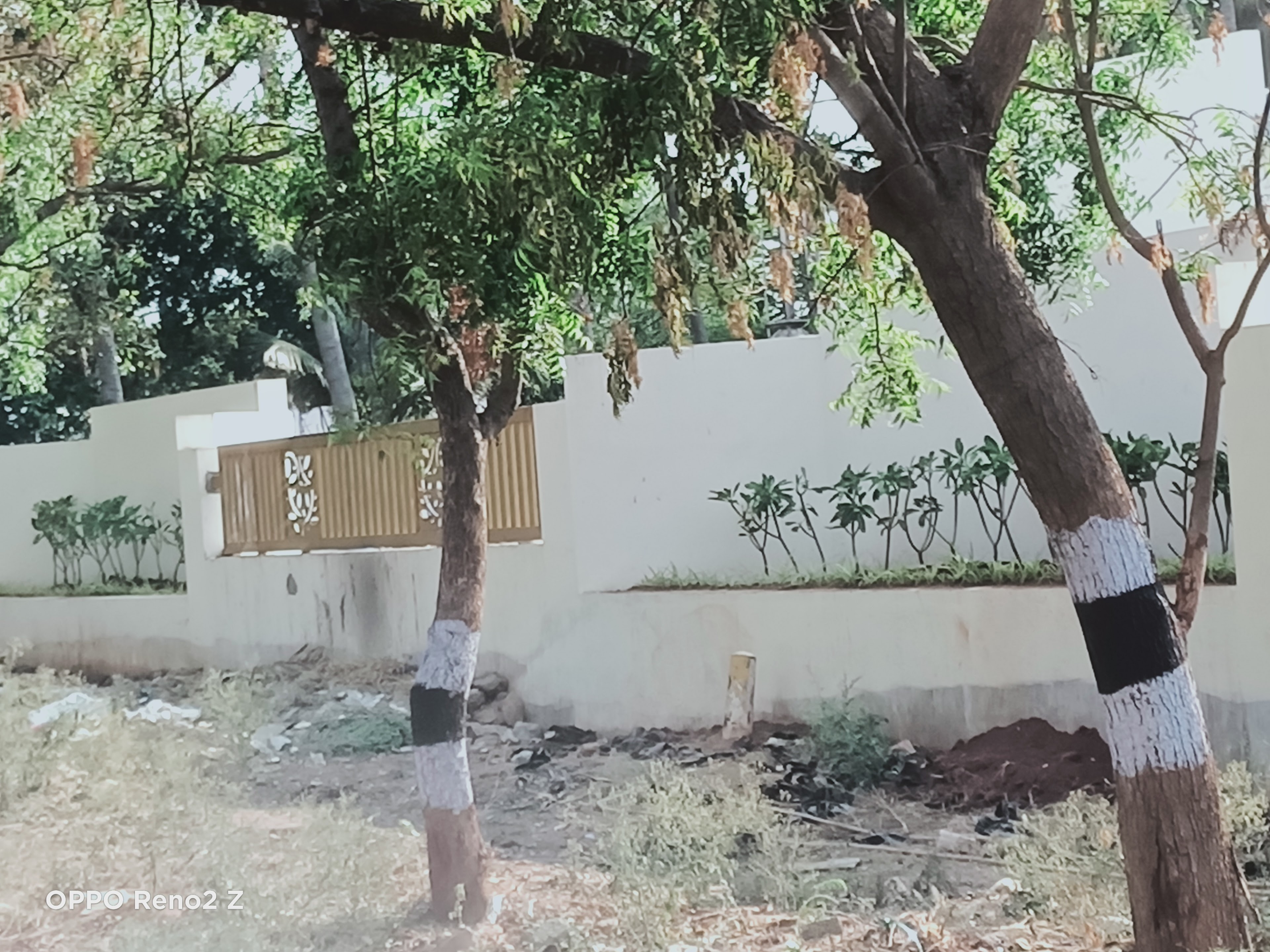 அருணாச்சலம் மஹால் (Arunachalam Mahal), Pollachi — photo 5