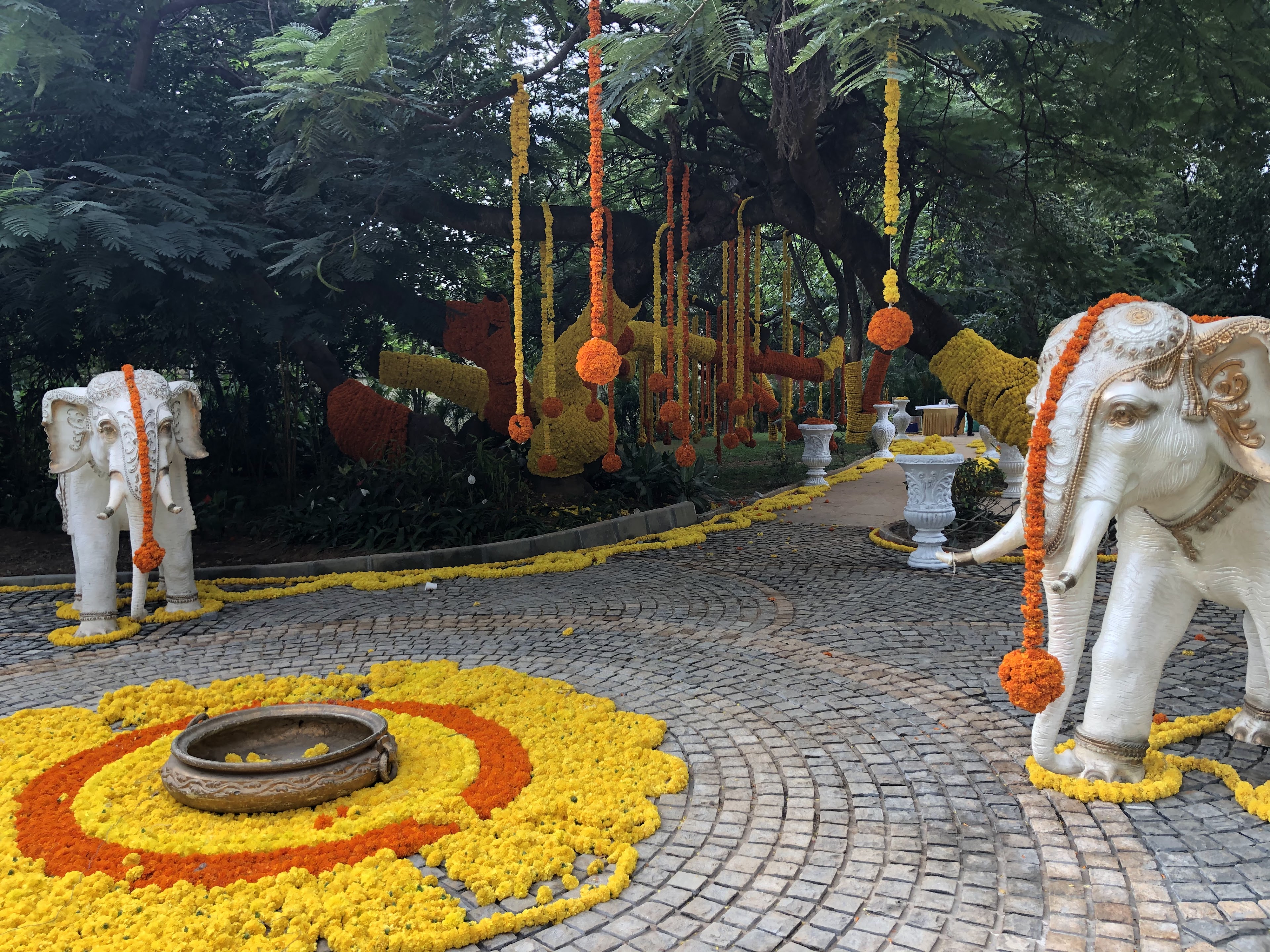 Chamara Vajra, Bengaluru — photo 6