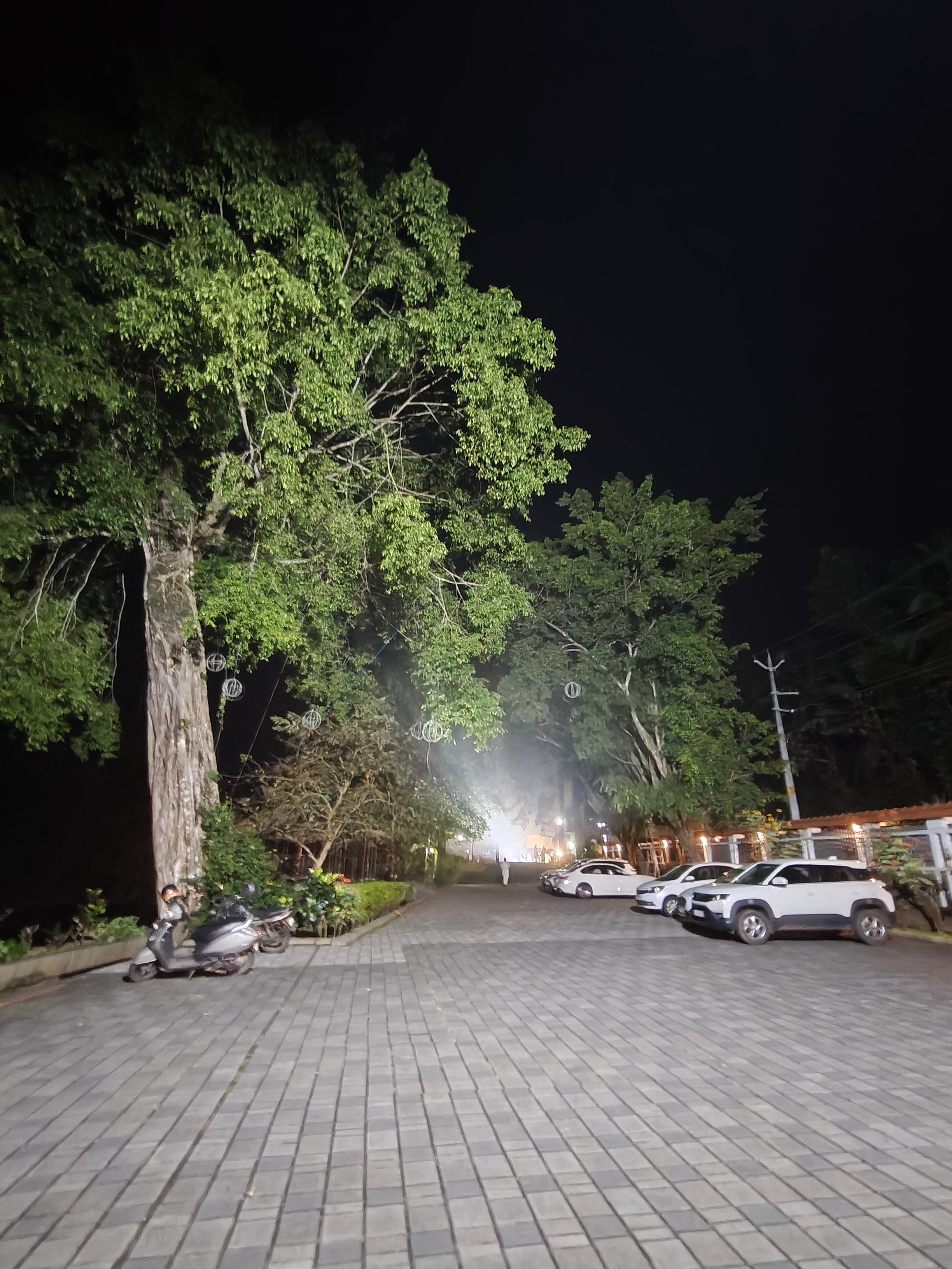 Madaparambil Wedding Hall, Thodupuzha, Thodupuzha — photo 8