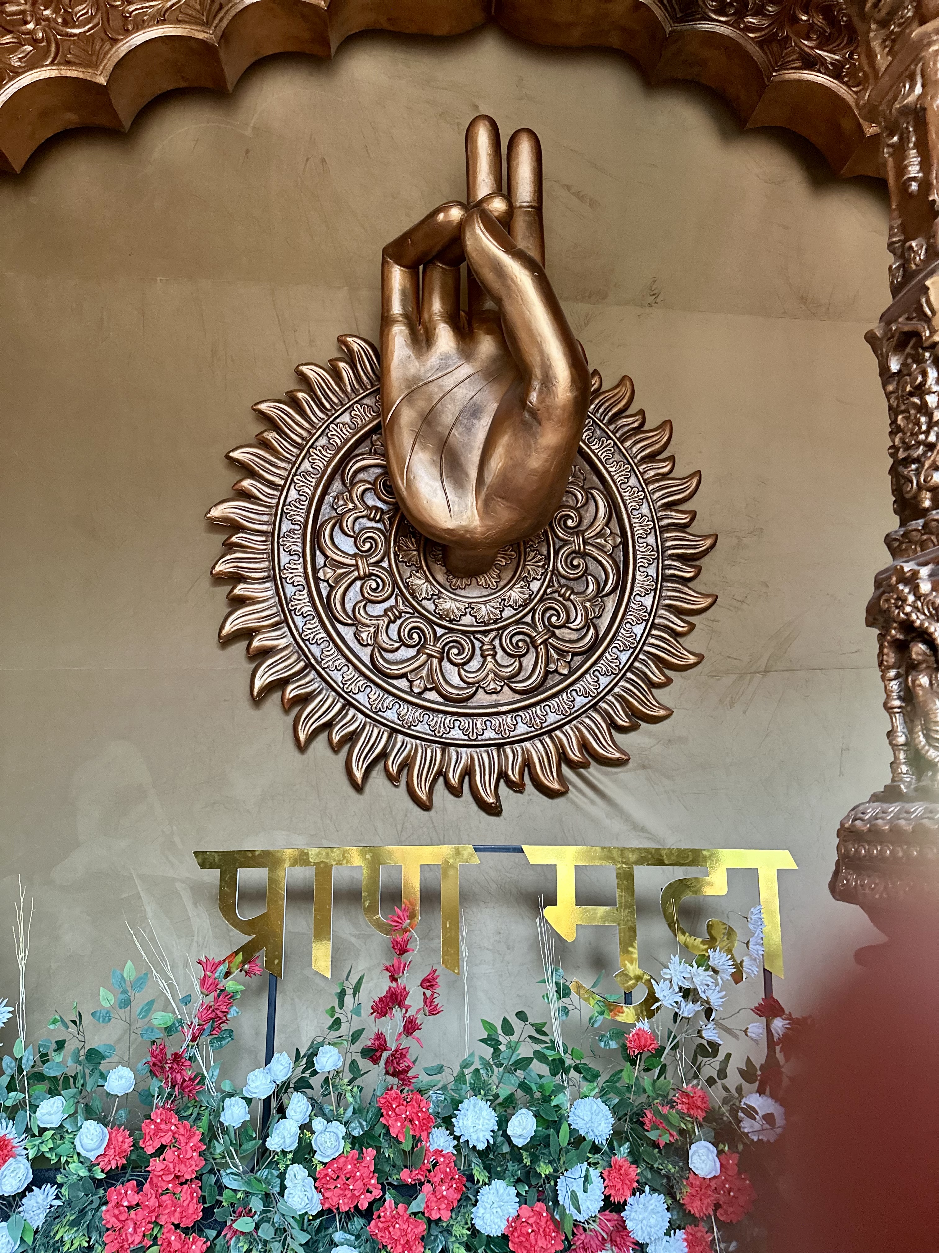 Mahalakshmi Party Plot, Surat — photo 7