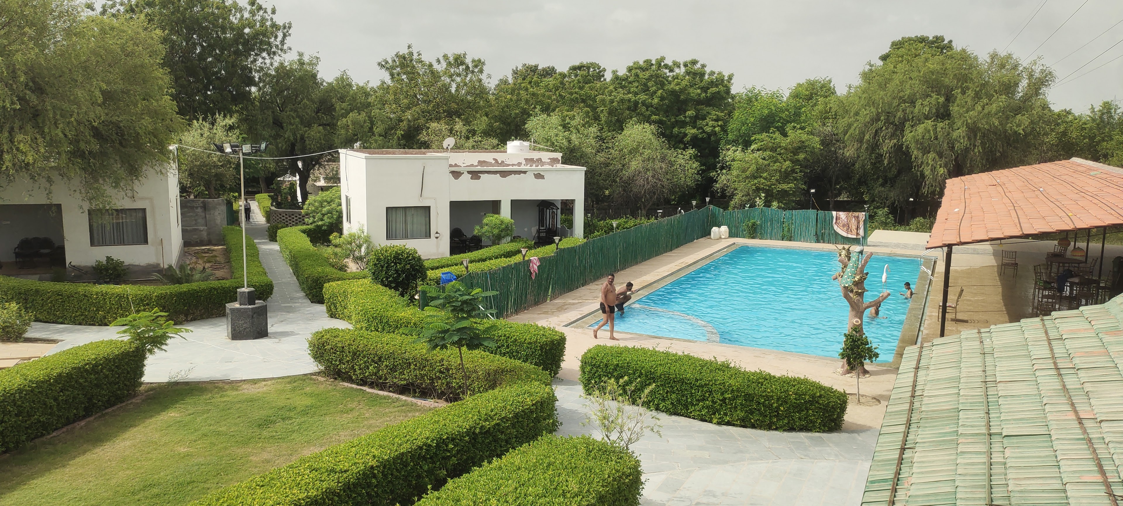 Thar Exotica Hotel & Resort Bikaner, Bikaner — photo 3