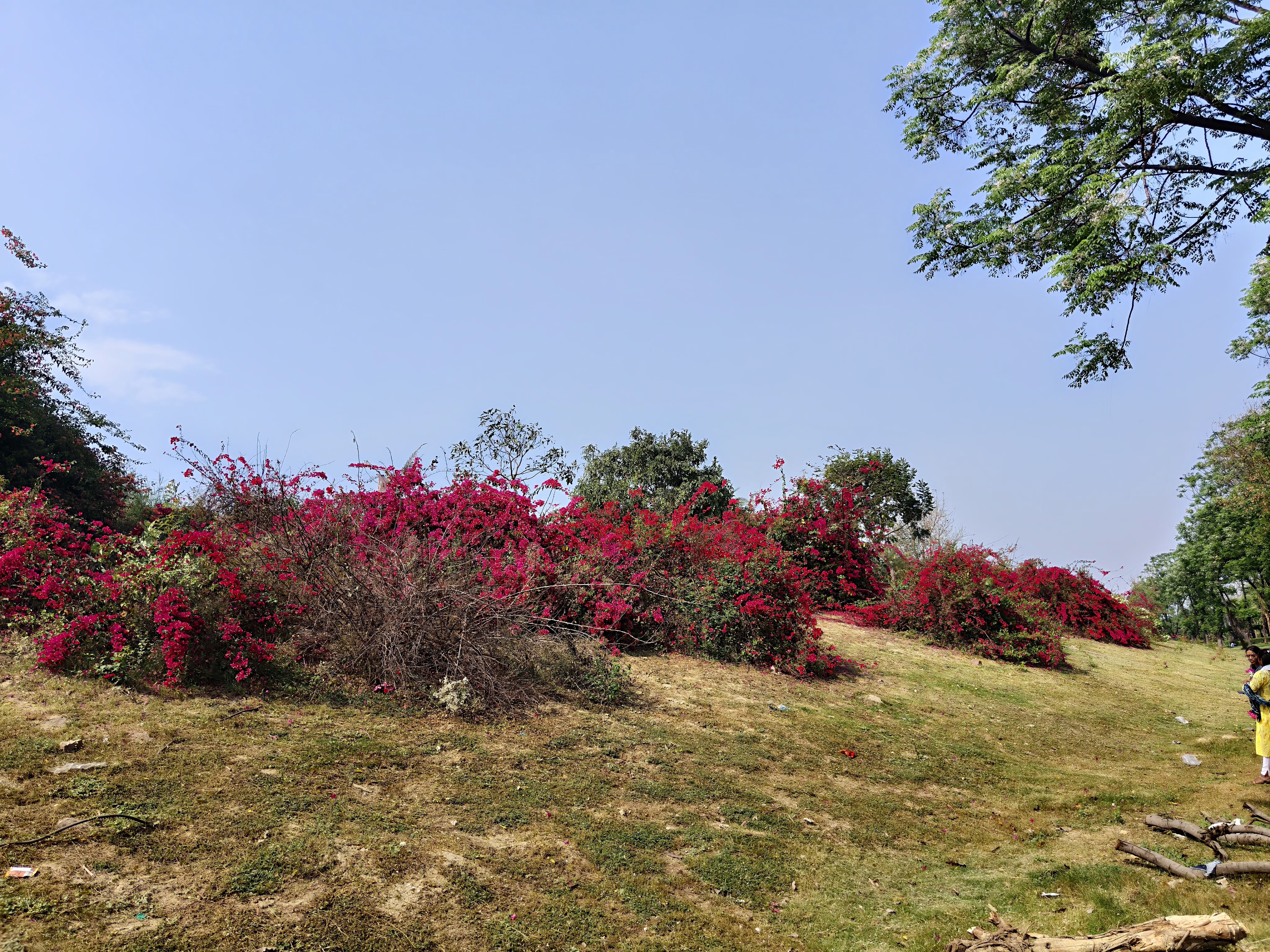 Regalia Greens, Lucknow — photo 1