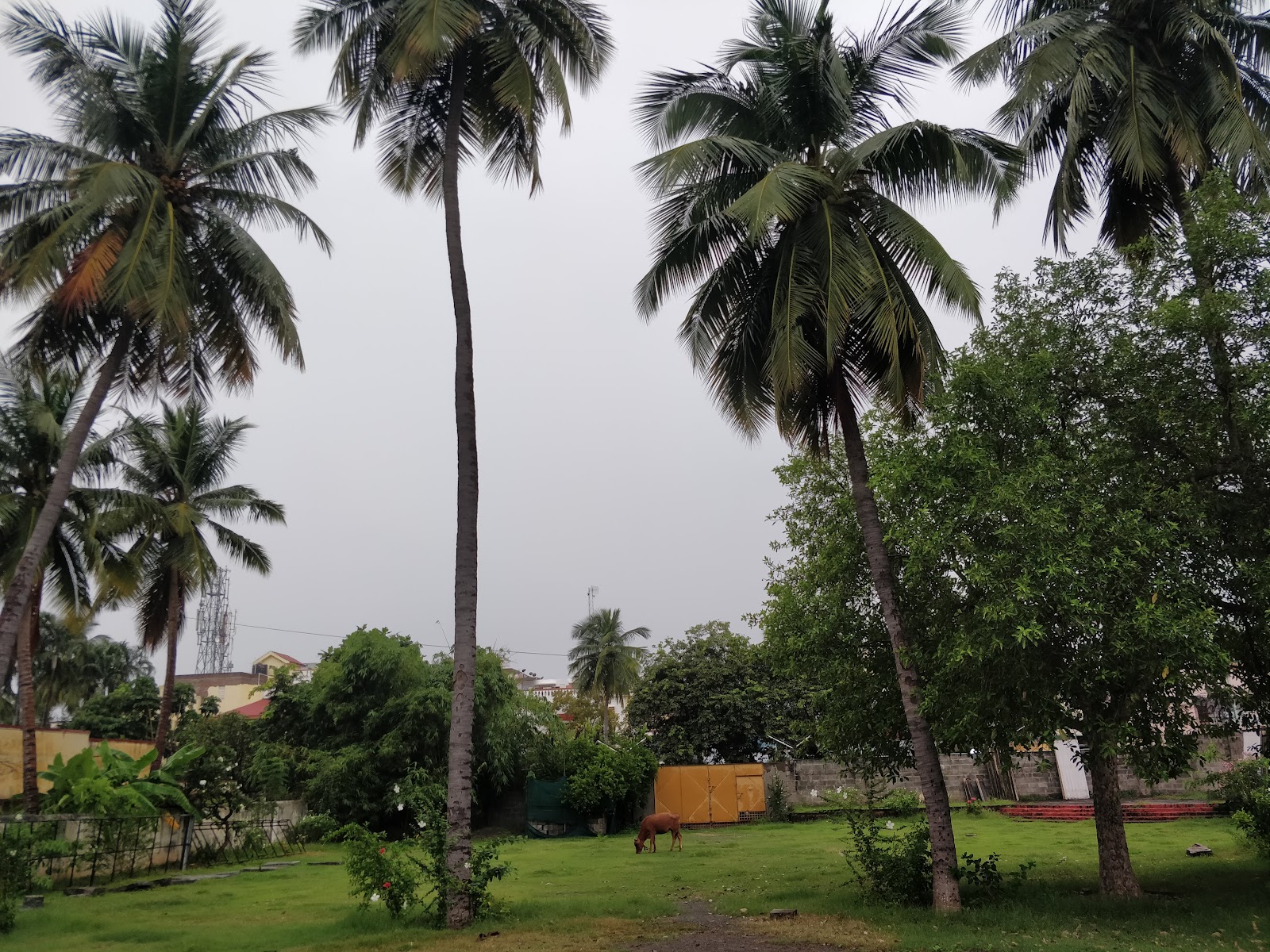 Deiveegam Kalyana Mandapam, Salem — photo 4