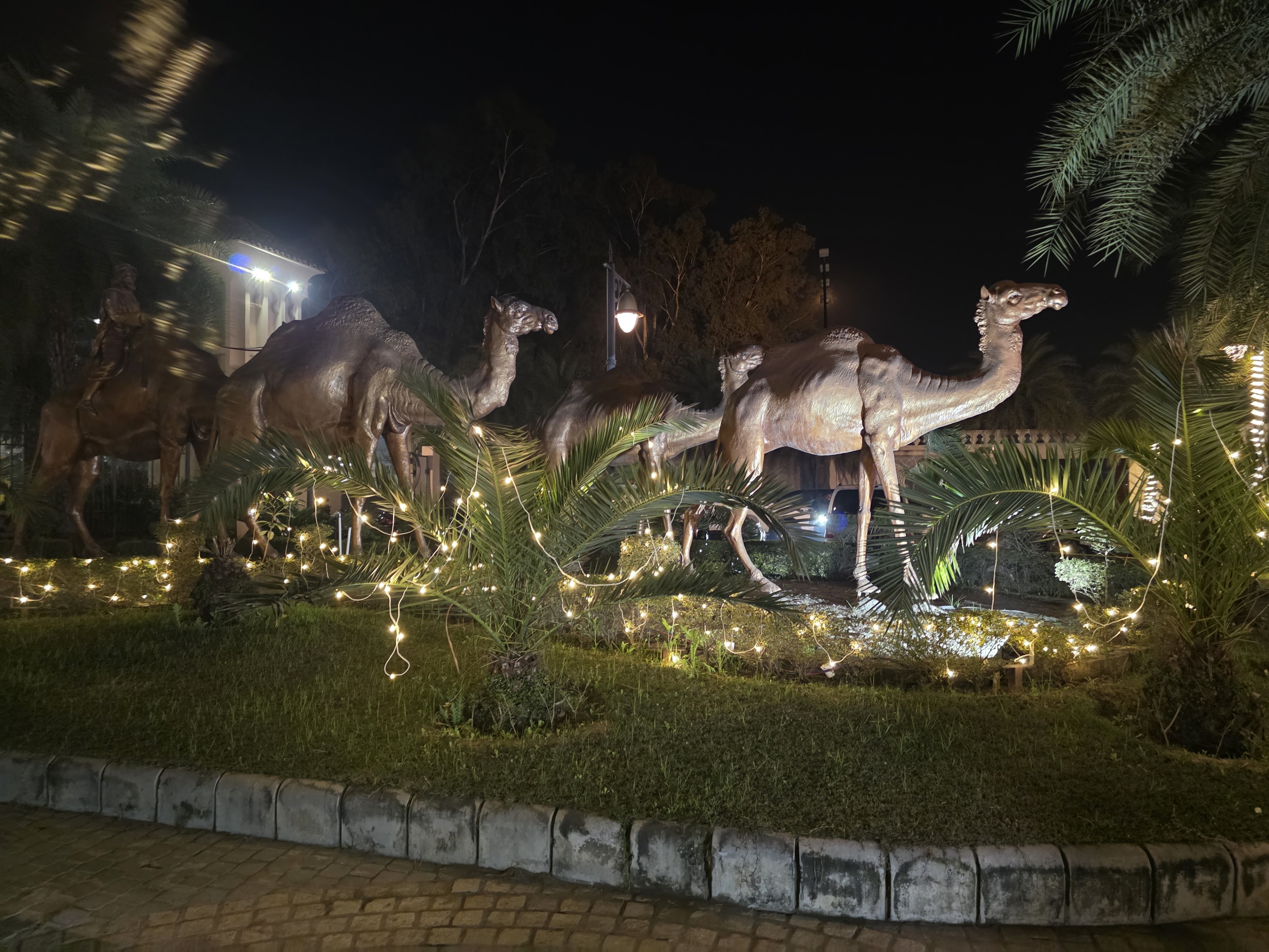 Elysium Grand Banquets |Best Luxury wedding venue in Jalandhar |Best wedding Destination in Jalandhar, Jalandhar — photo 7