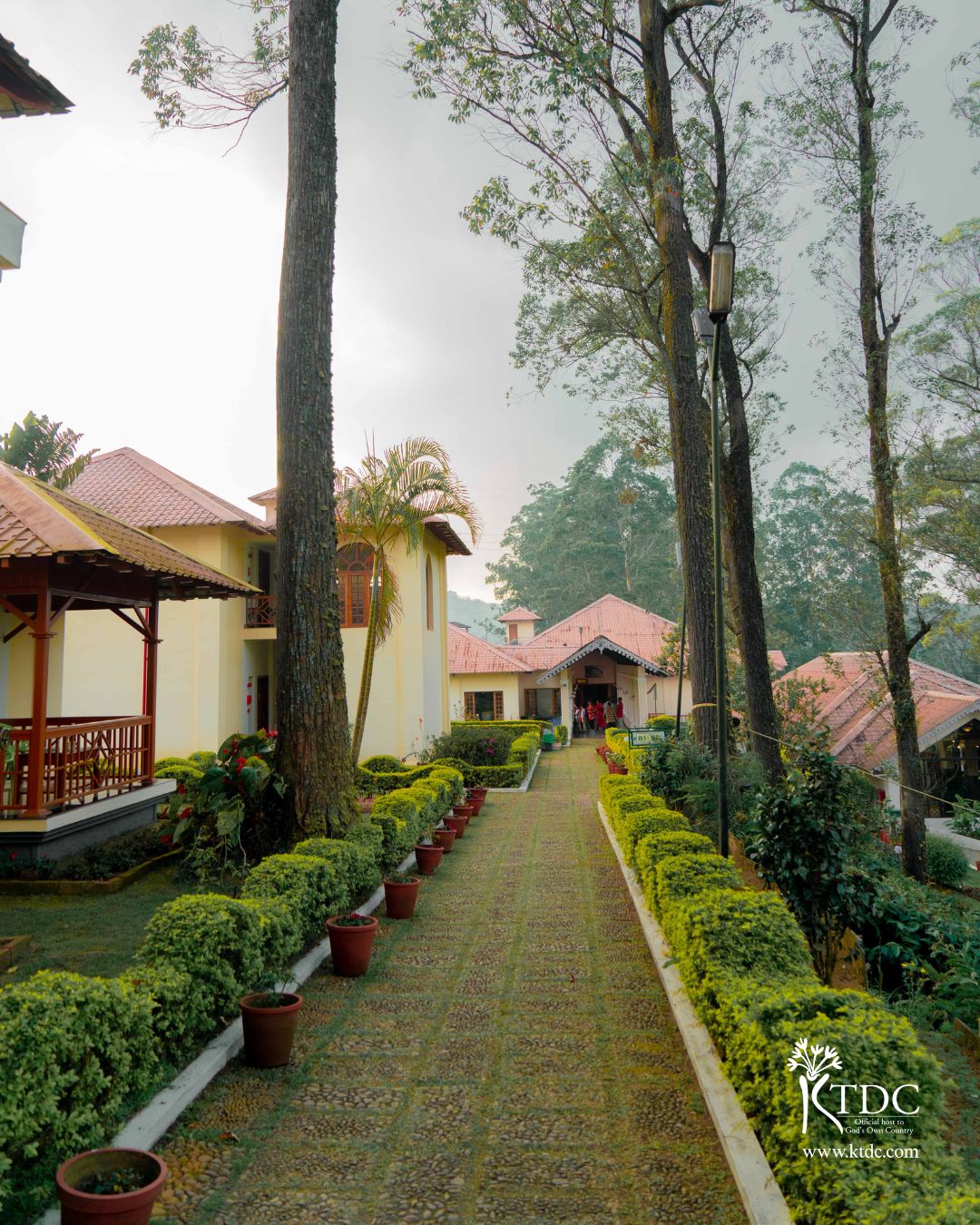 Tea County Munnar, Munnar — photo 7