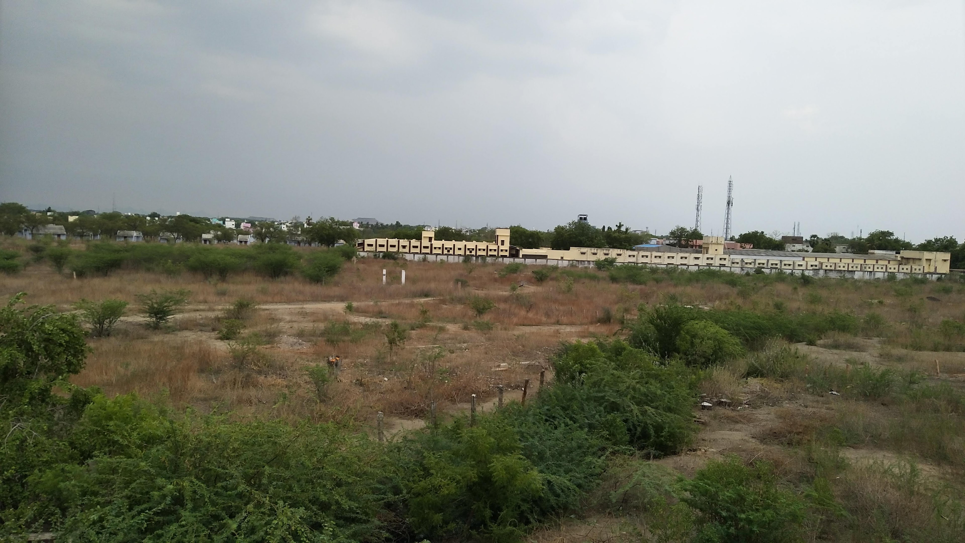 Lions Cosmos Wedding Hall, Sivakasi — photo 2