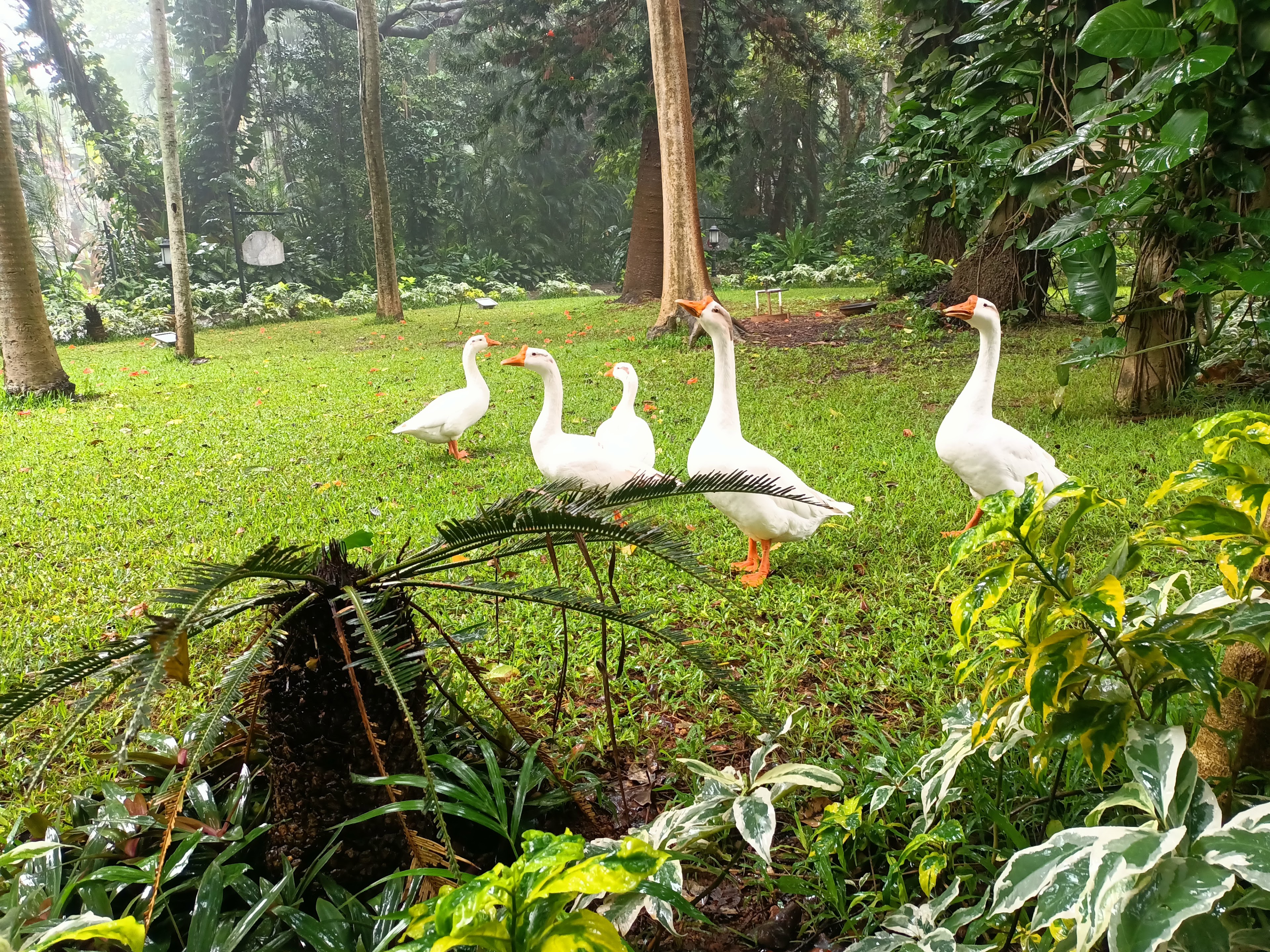 Taj West End, Bengaluru, Bengaluru — photo 4