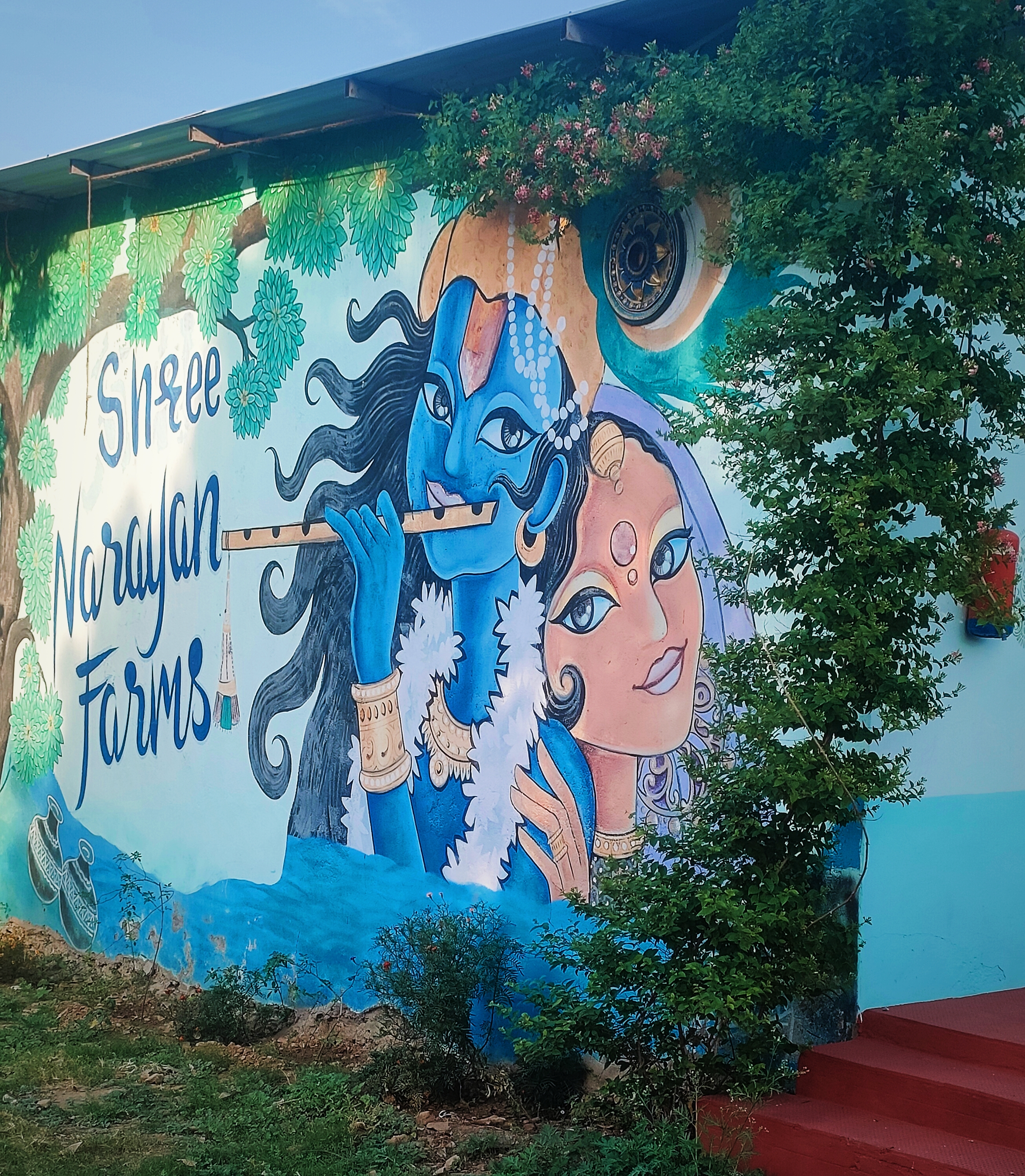 Shree Narayan Farms, Udaipur — photo 5