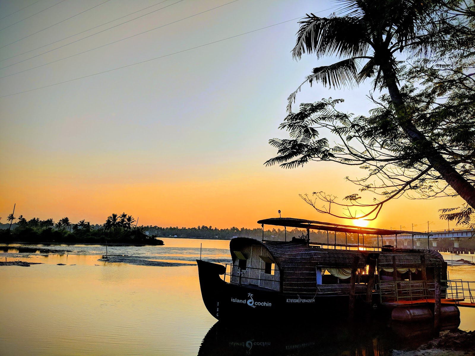 Island D Cochin, Kochi — photo 3