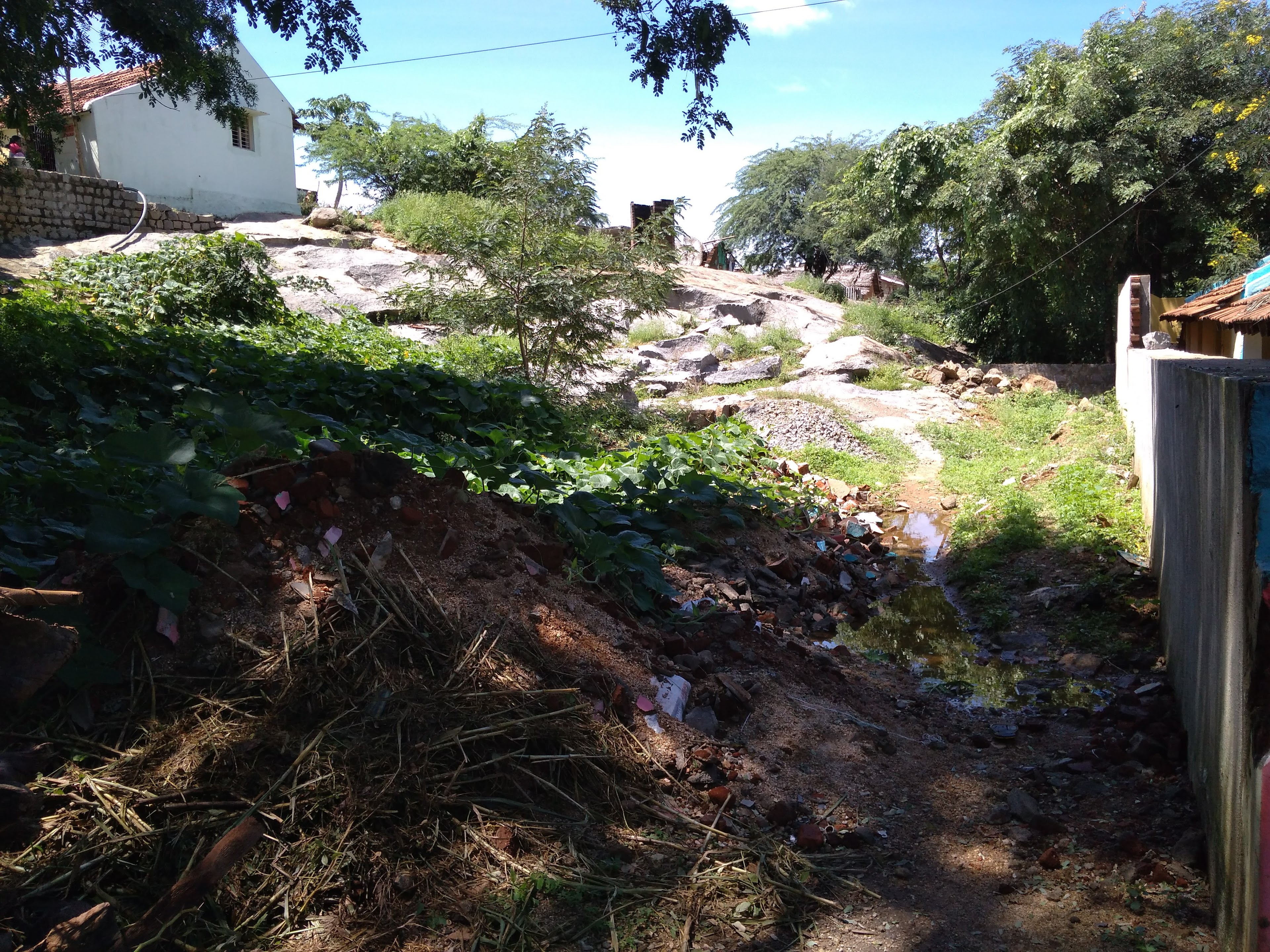 Subbhaaramam halls, Chittoor — photo 4