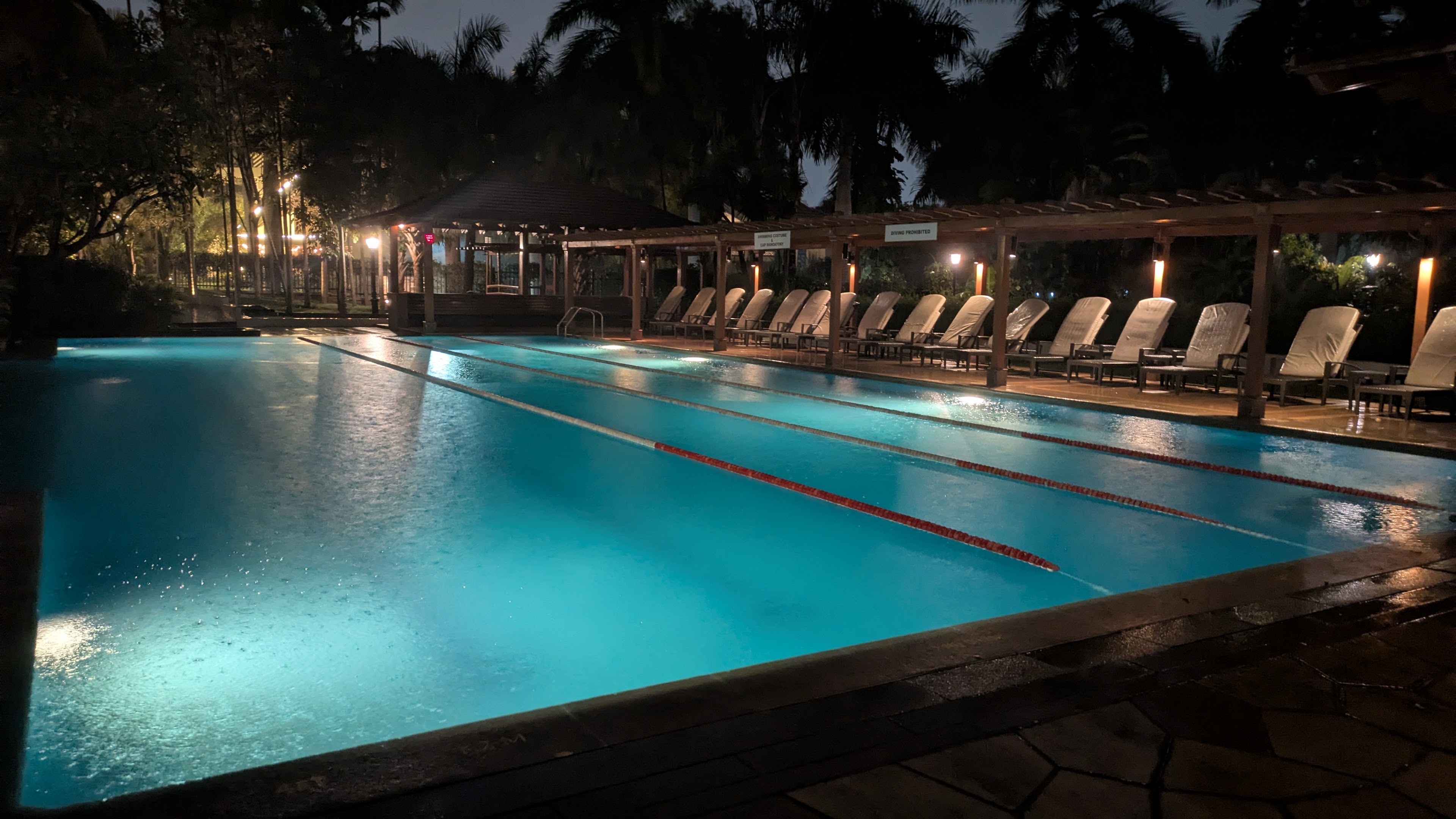 Palm Meadows Resort, Bengaluru — photo 5