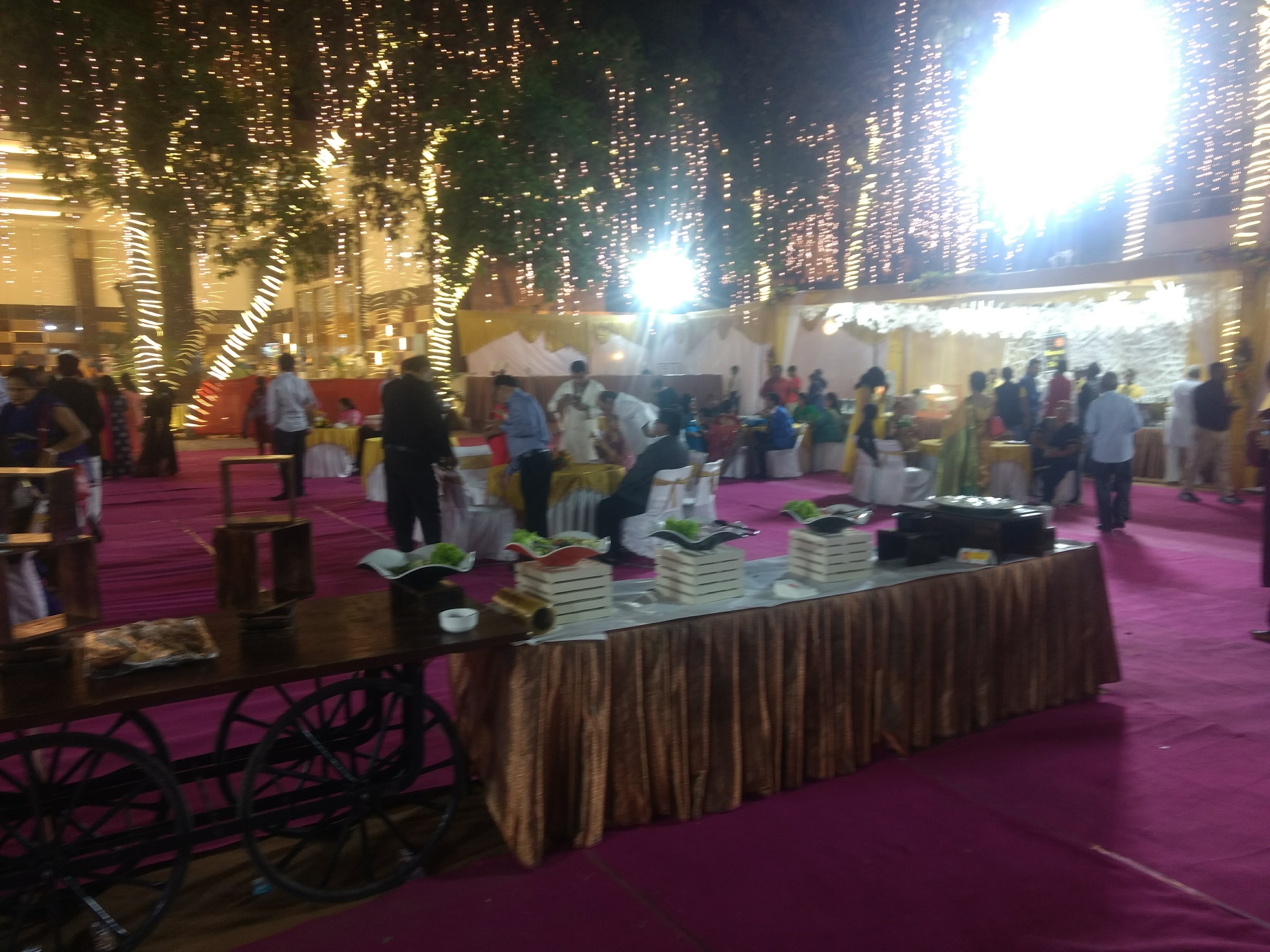 Shubham Lawn and Banquet, Varanasi — photo 8
