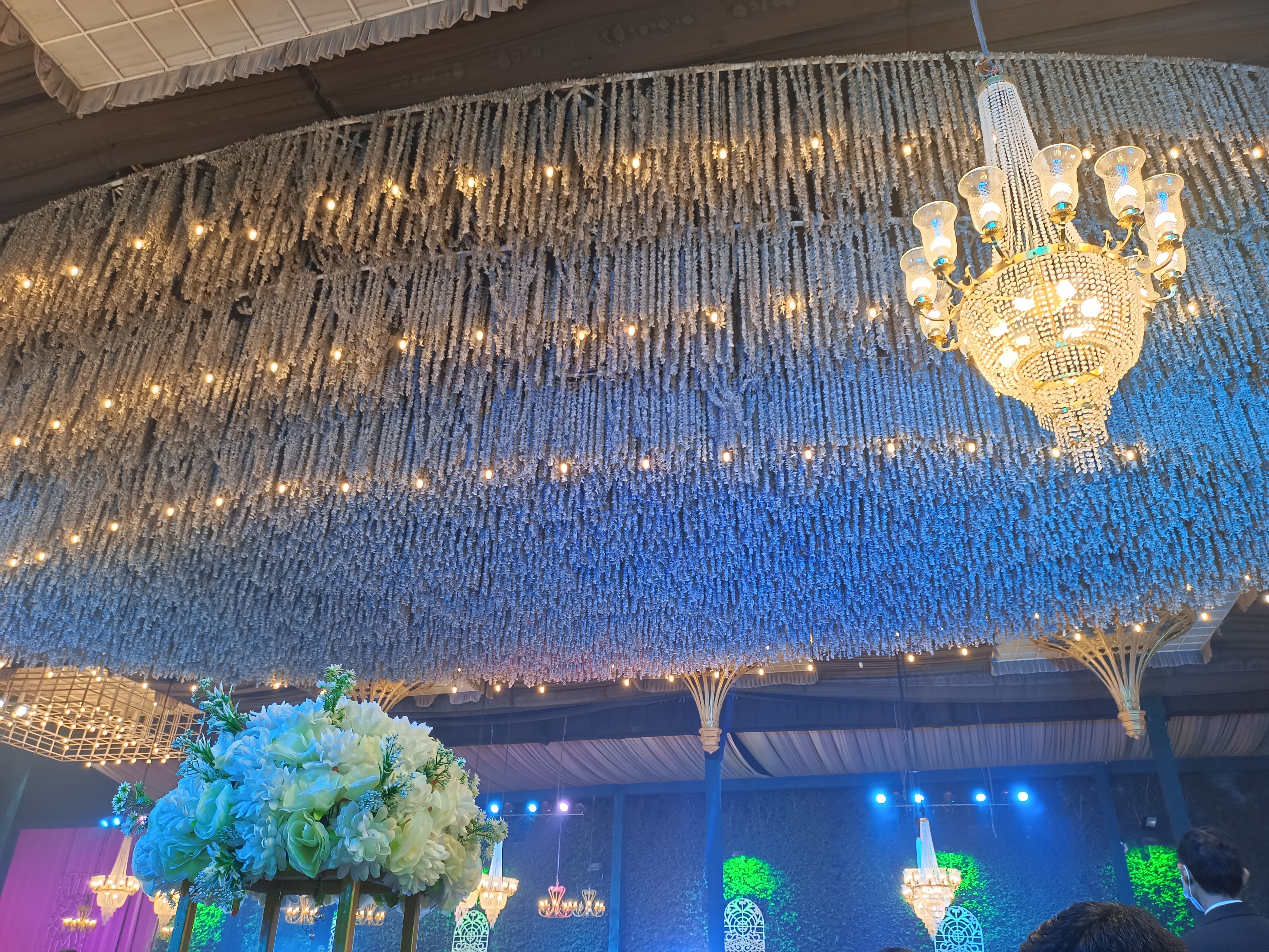 The Divine Party Lawn, Karnal — photo 4