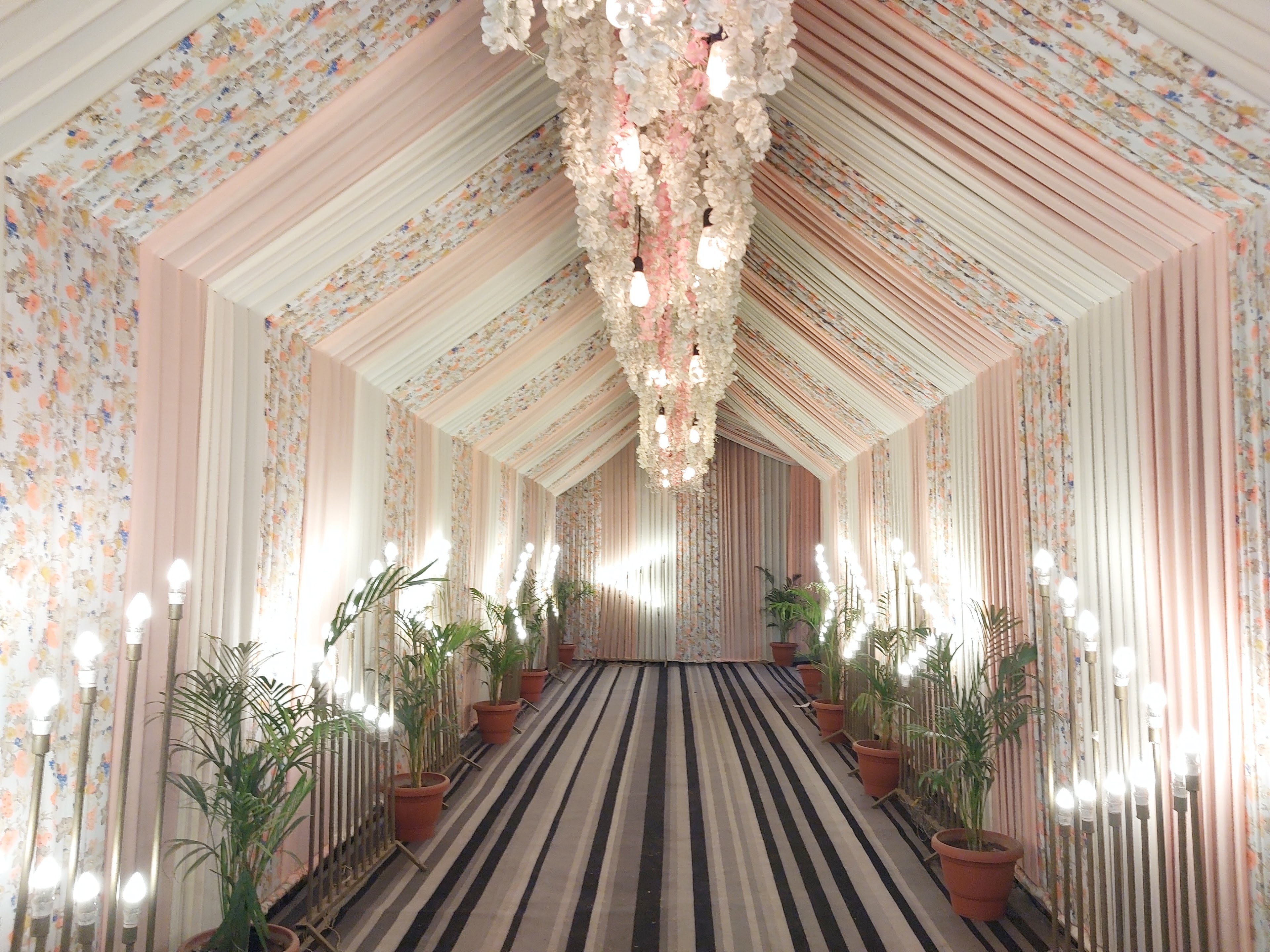 Maharaj Bagh Lawn, Nagpur — photo 5