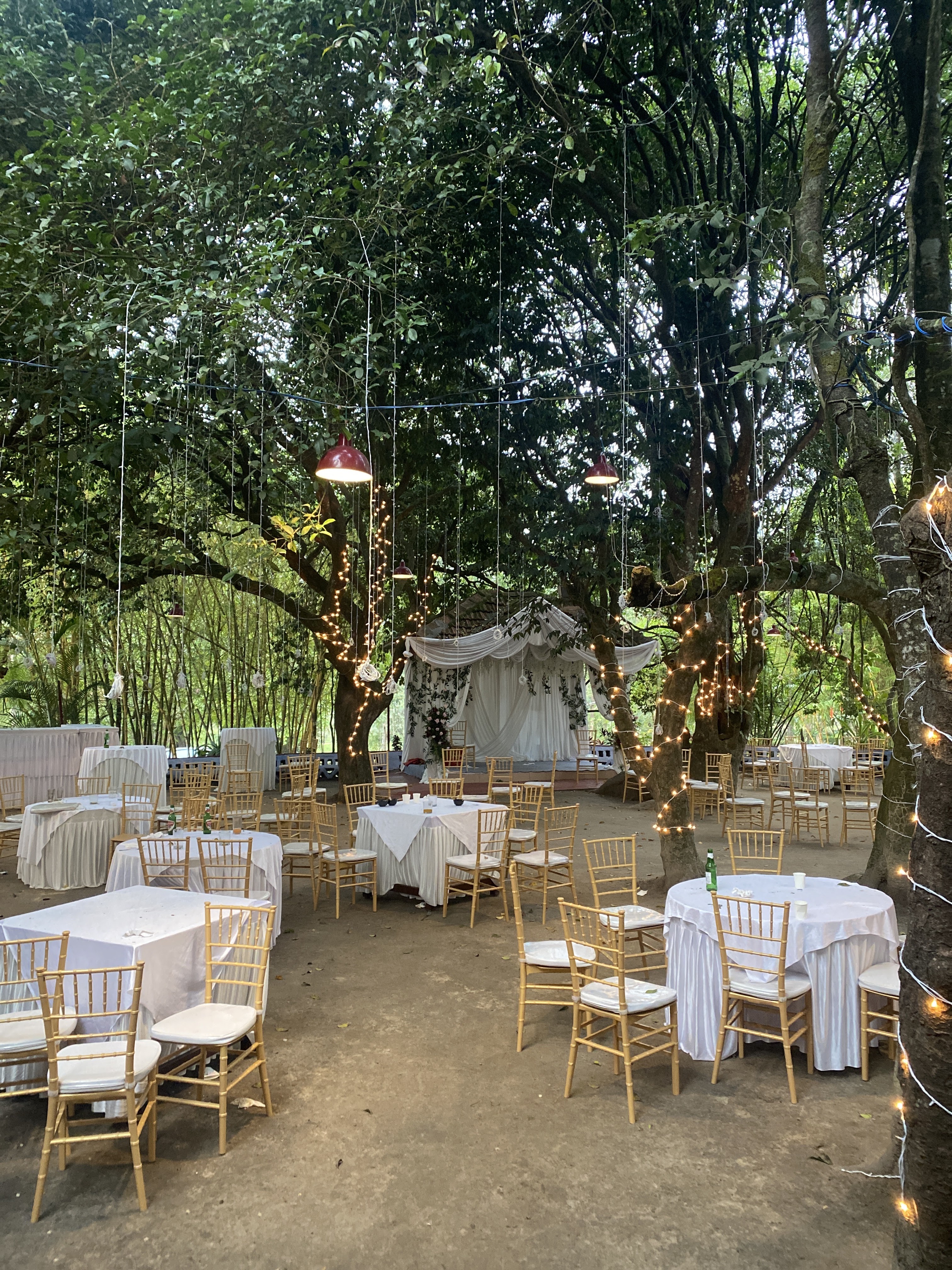 Capitol Village Resort, Madikeri — photo 9