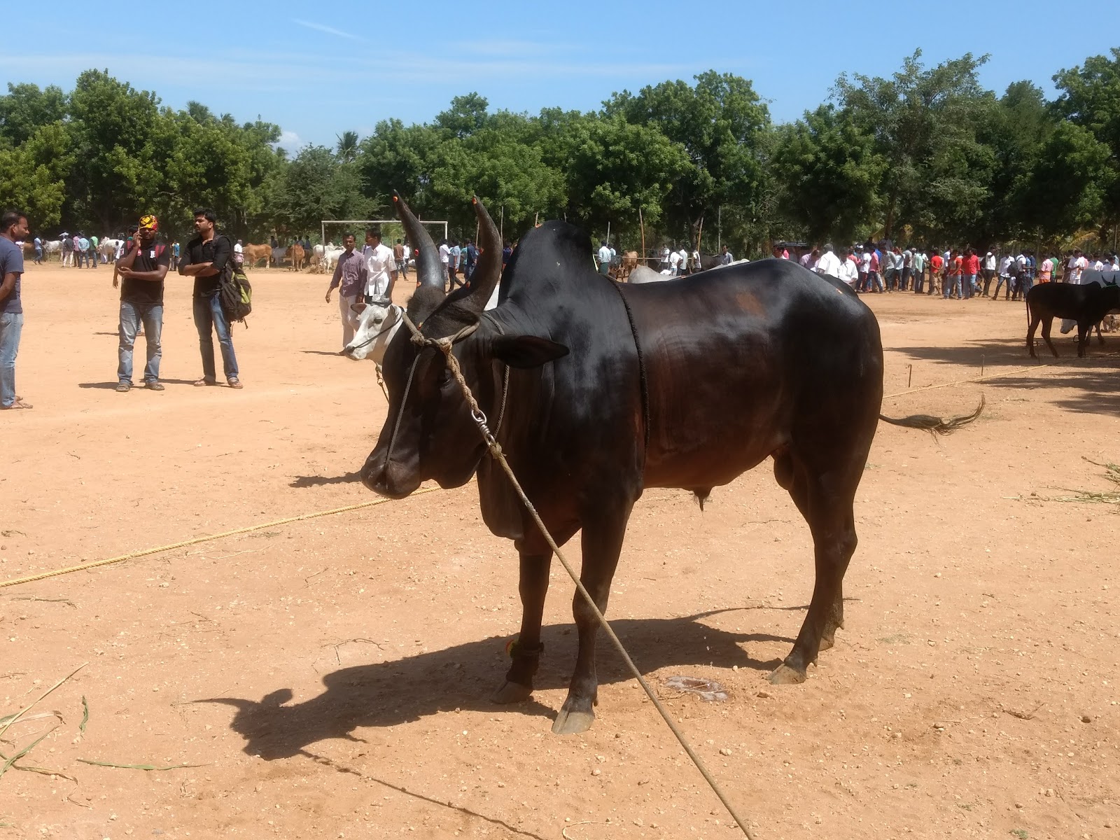 Sri Vari Arangam, Erode — photo 7