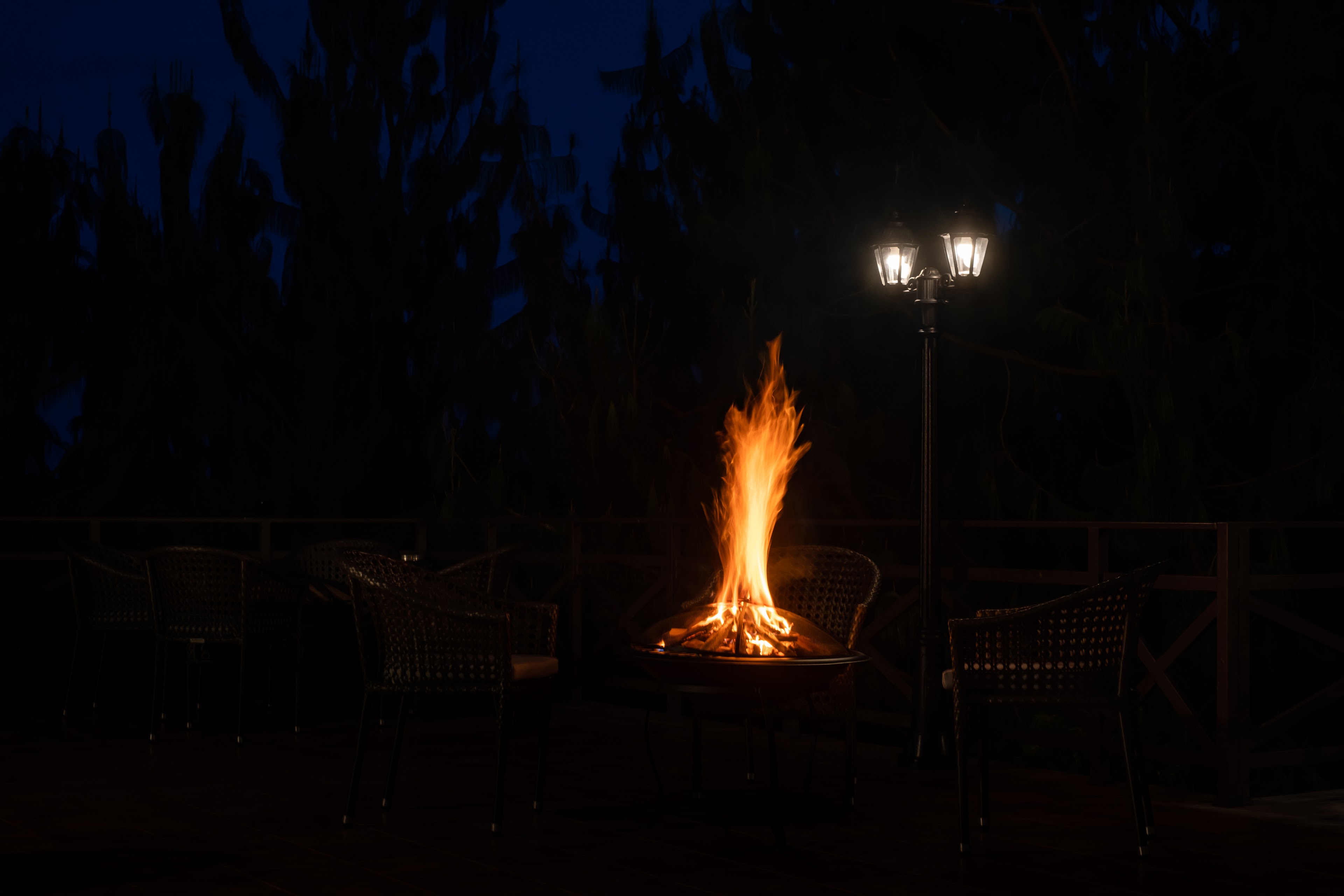 DVARA KODAIKANAL, Kodaikanal — photo 7