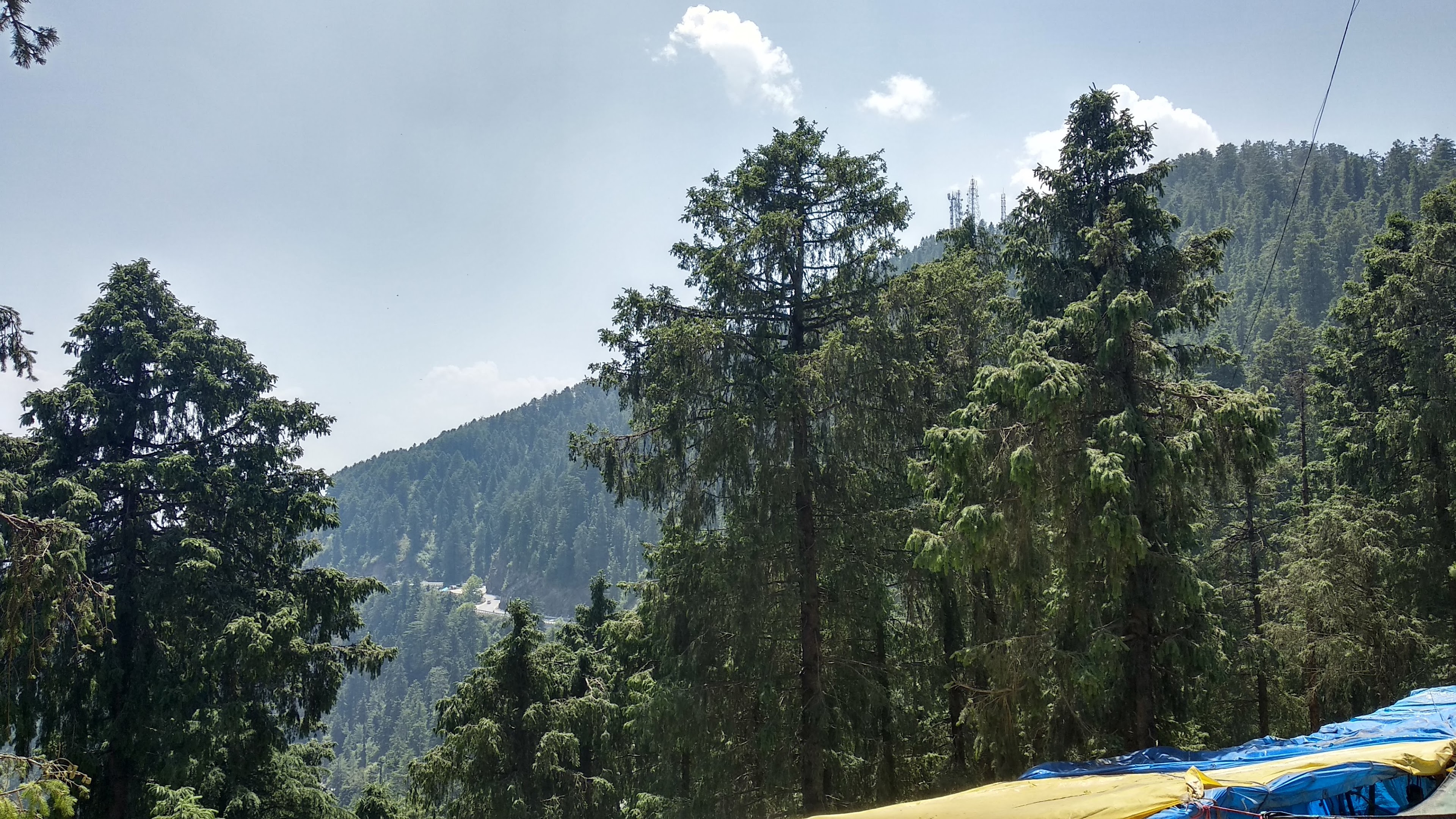Wildflower Hall, An Oberoi Resort, Shimla, Shimla — photo 10