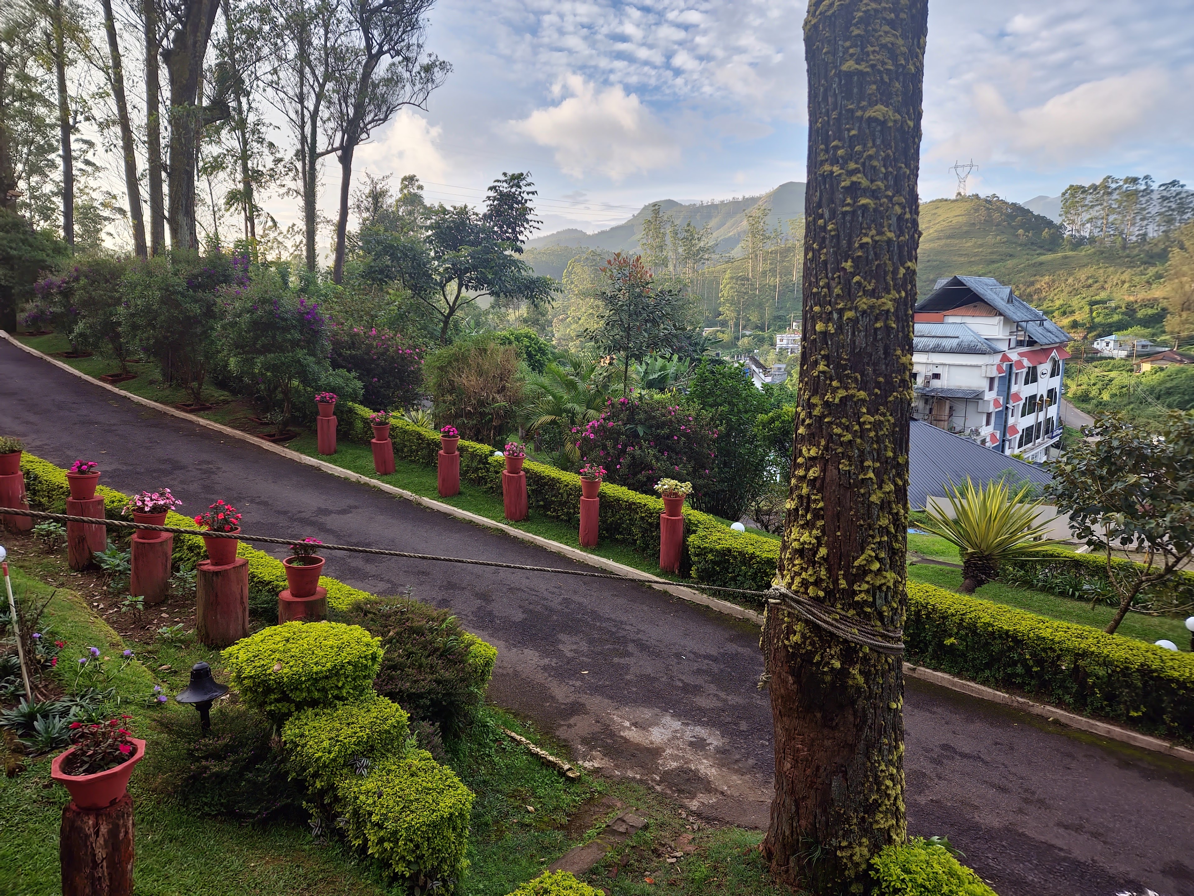 Tea County Munnar, Munnar — photo 4