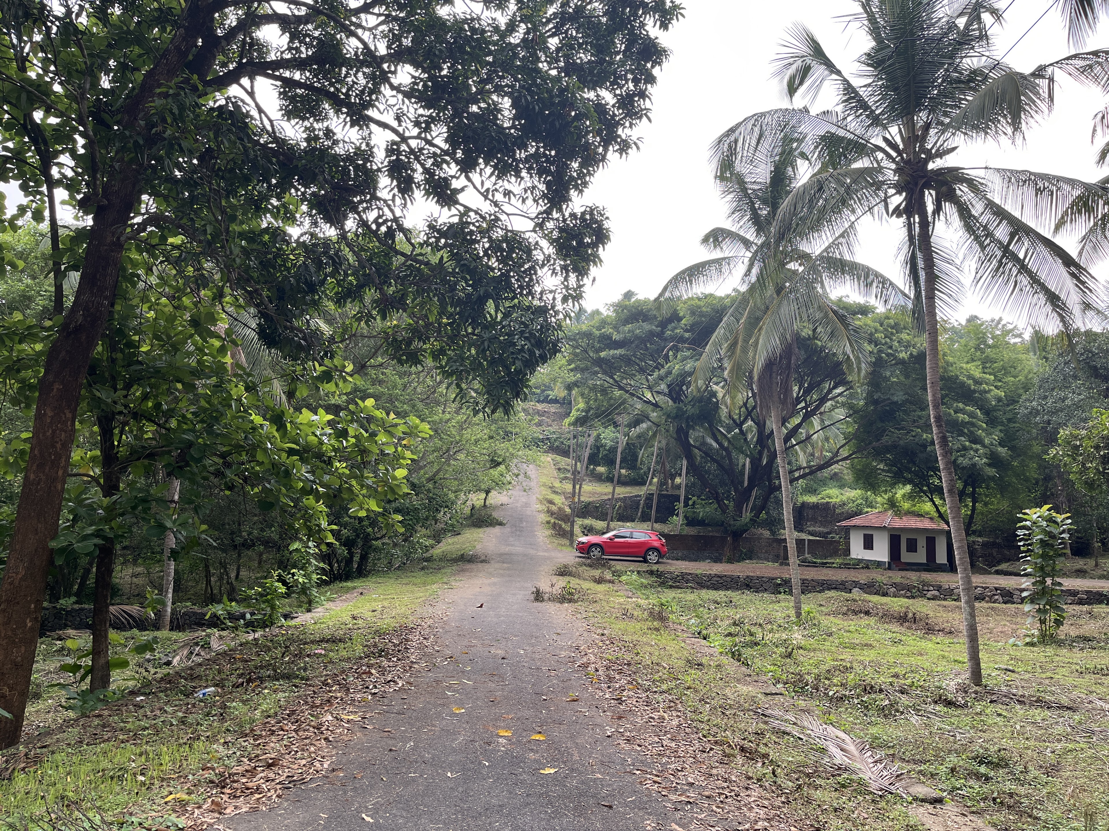 IMA HOUSE PERINTHALMANNA, Perinthalmanna — photo 5