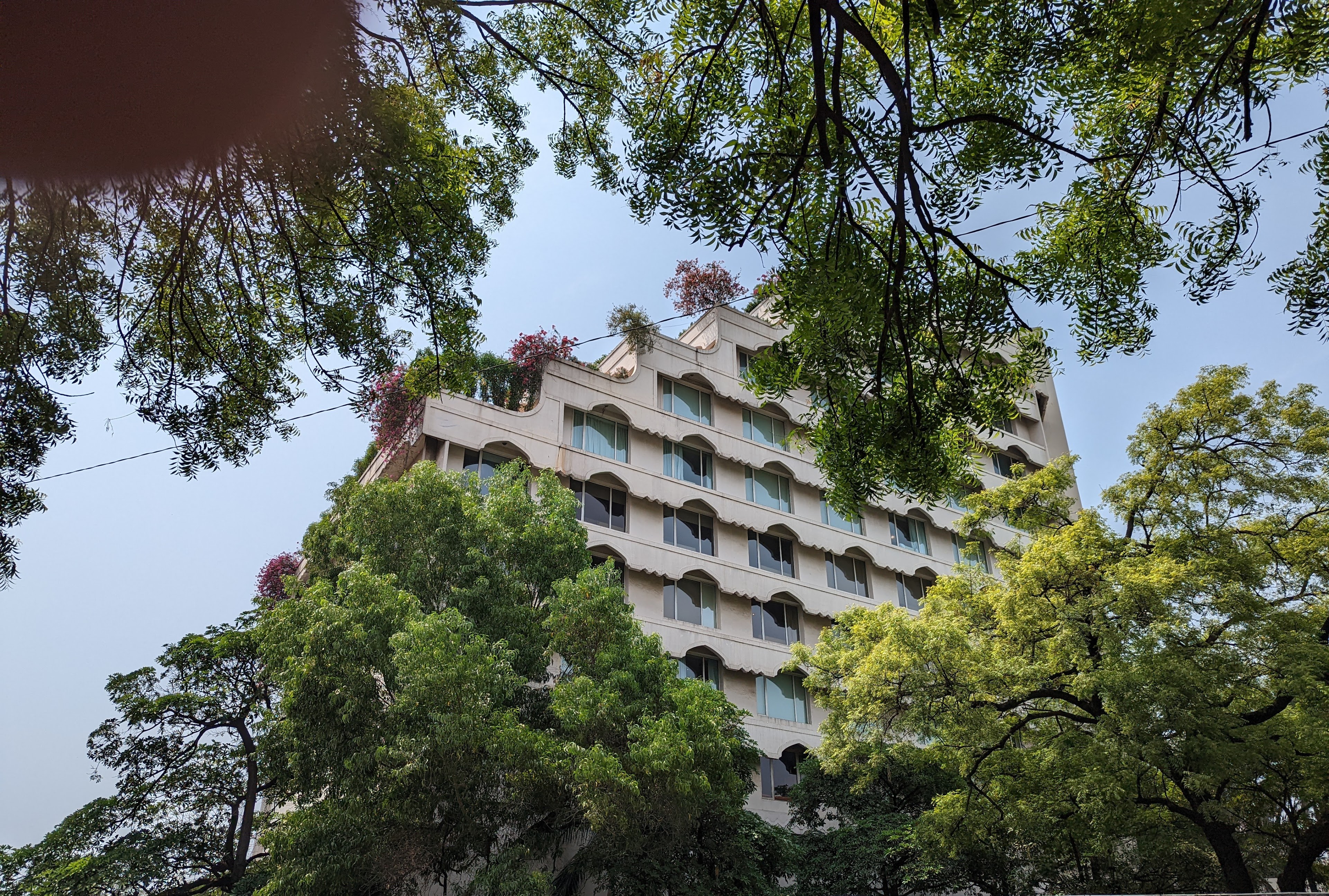 TAJ KRISHNA, Hyderabad — photo 1