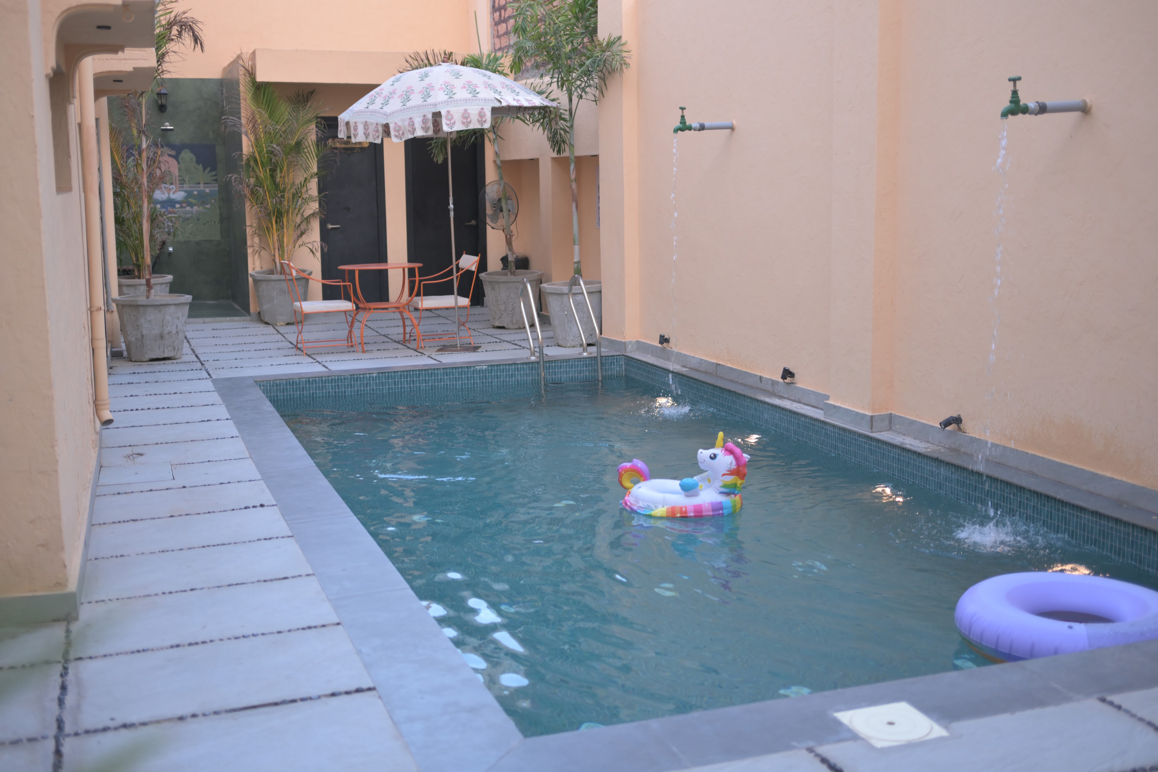 The Solo House Hotel & Banquet, Jodhpur — photo 3
