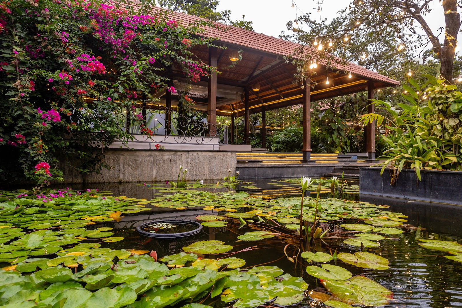 The Lily Pond, Bengaluru — photo 1