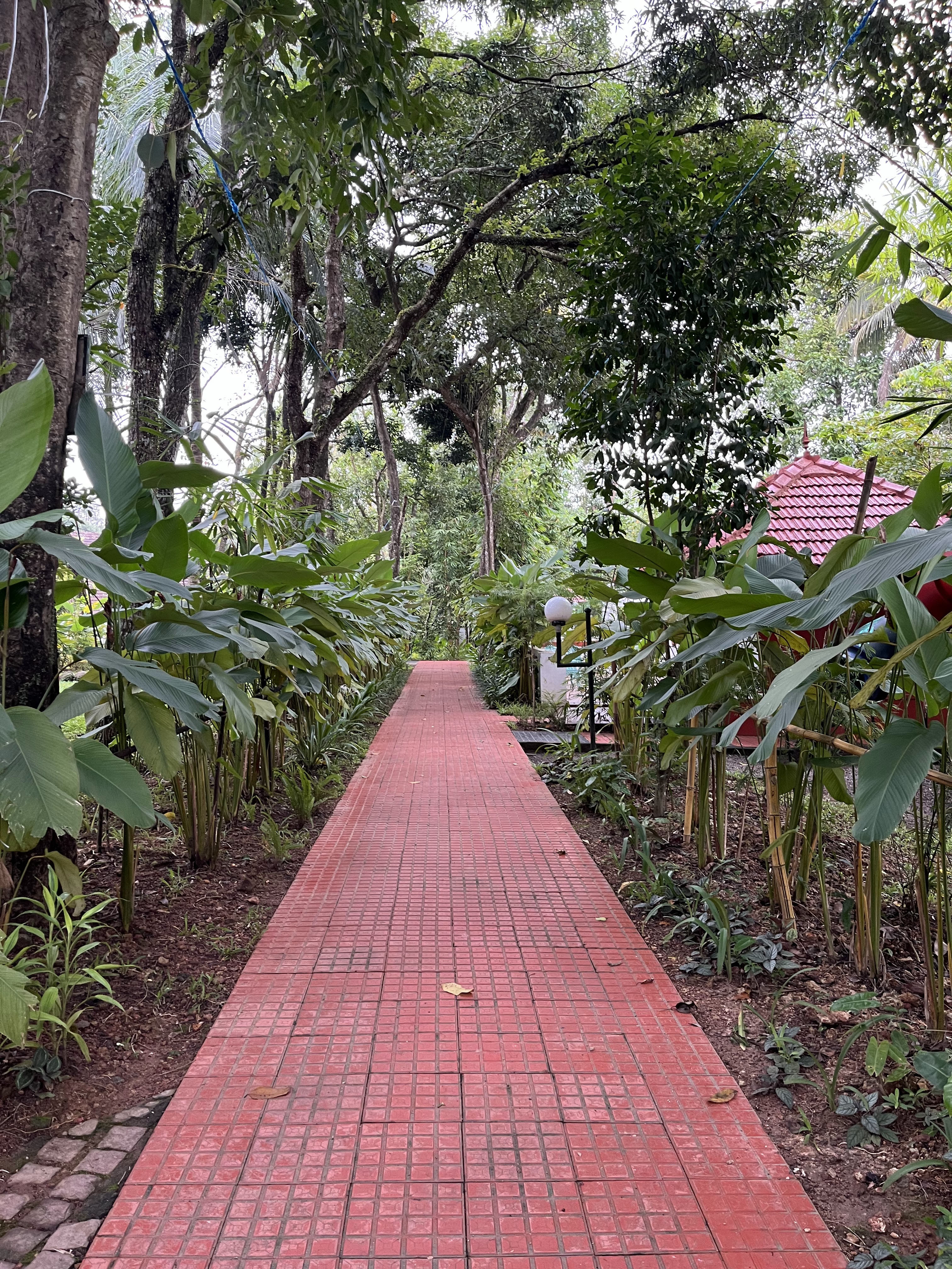 The Windsor Castle Convention Center, Kottayam — photo 6