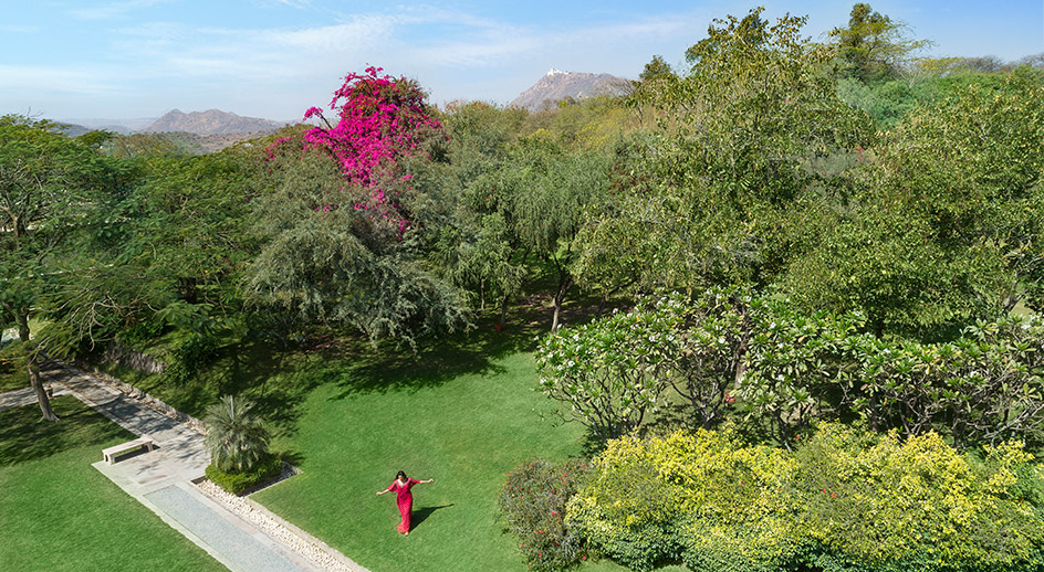 Trident, Udaipur, Udaipur — photo 6