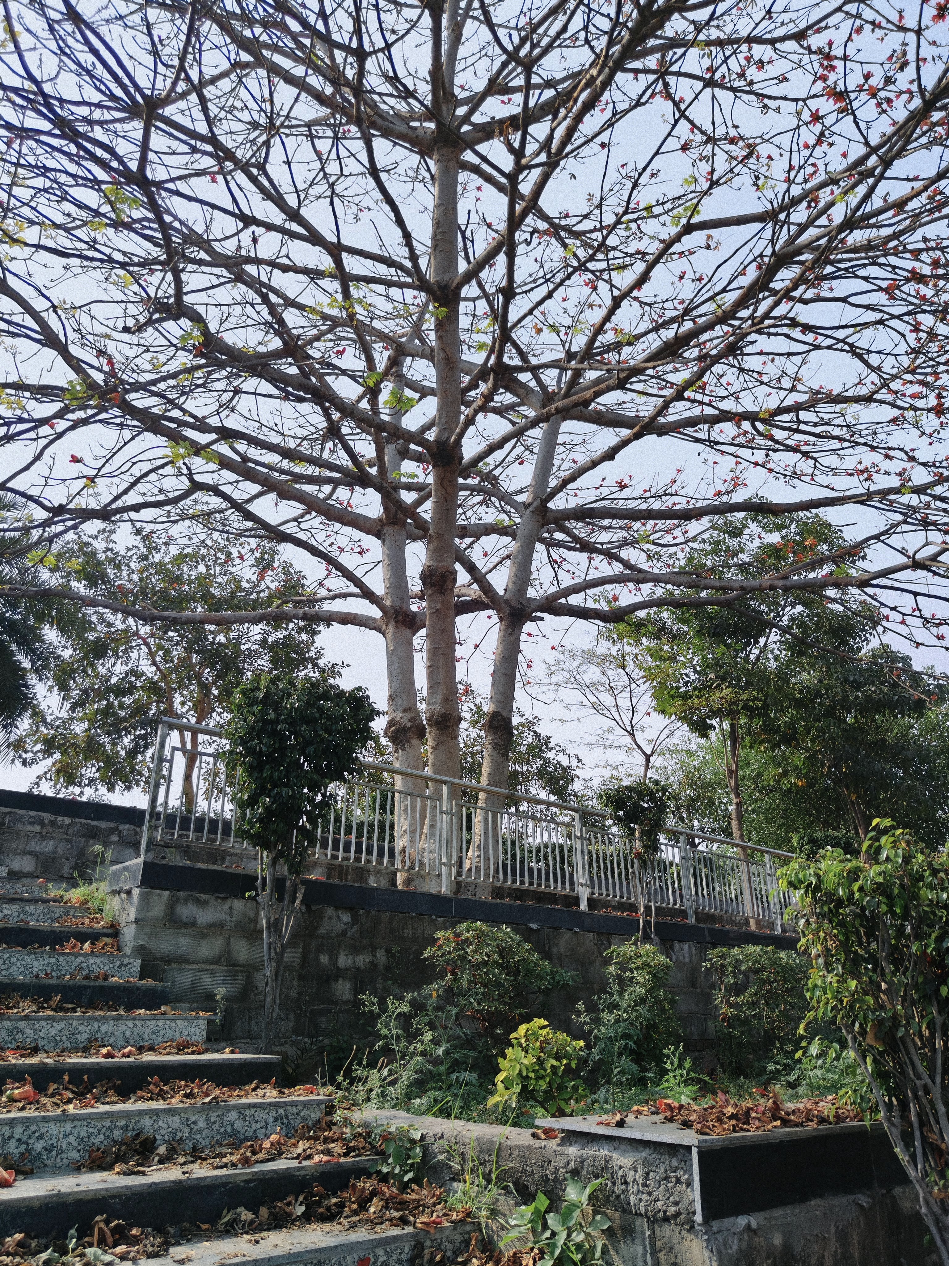 Regalia Greens, Lucknow — photo 7