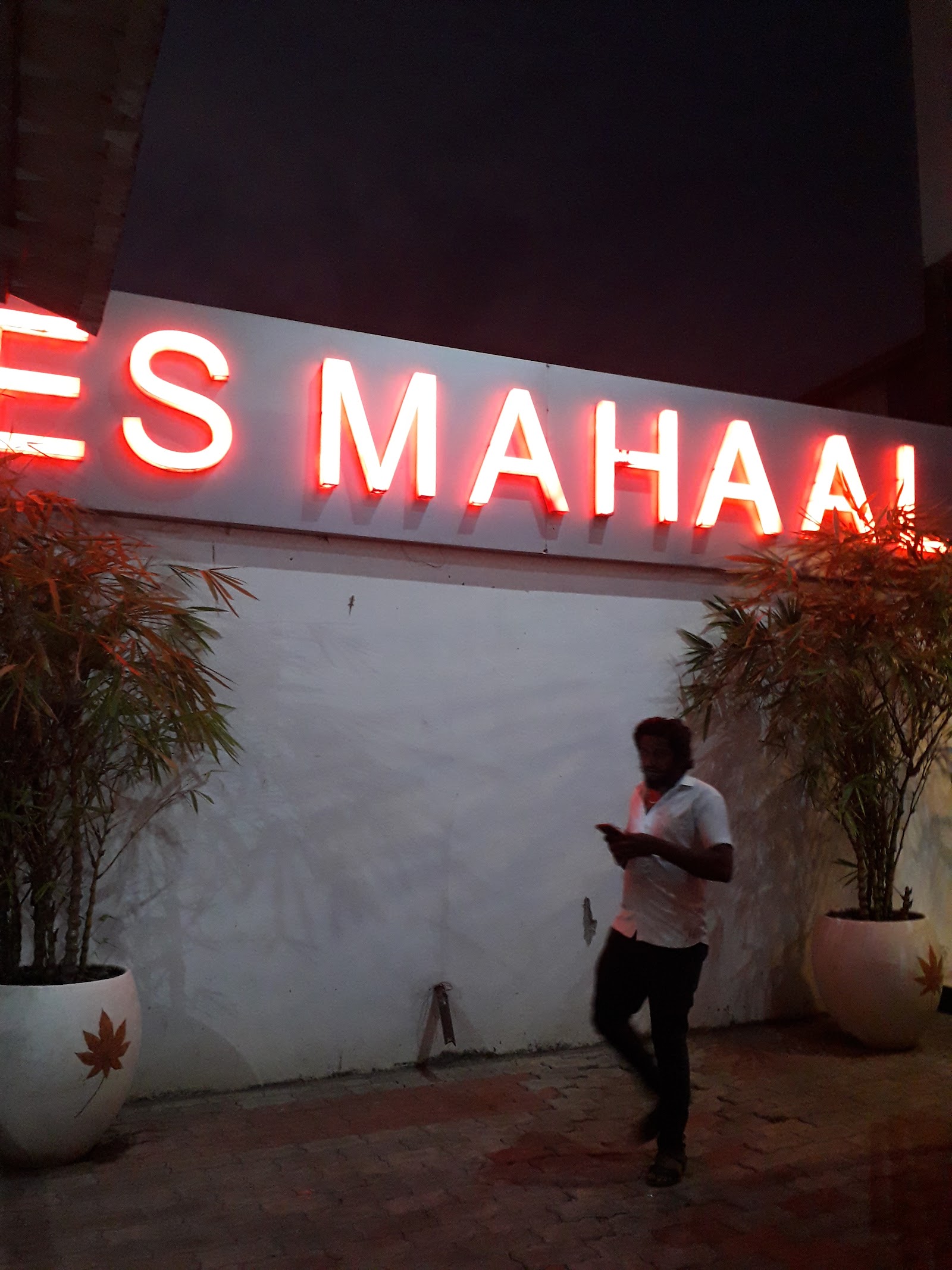 Es mahaal, Tiruchirappalli — photo 8