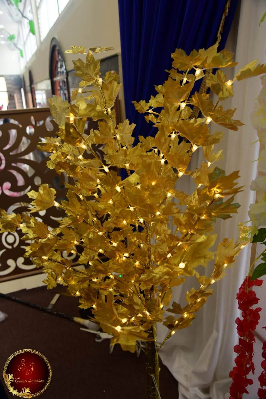The Golden Palace, Kolar — photo 10