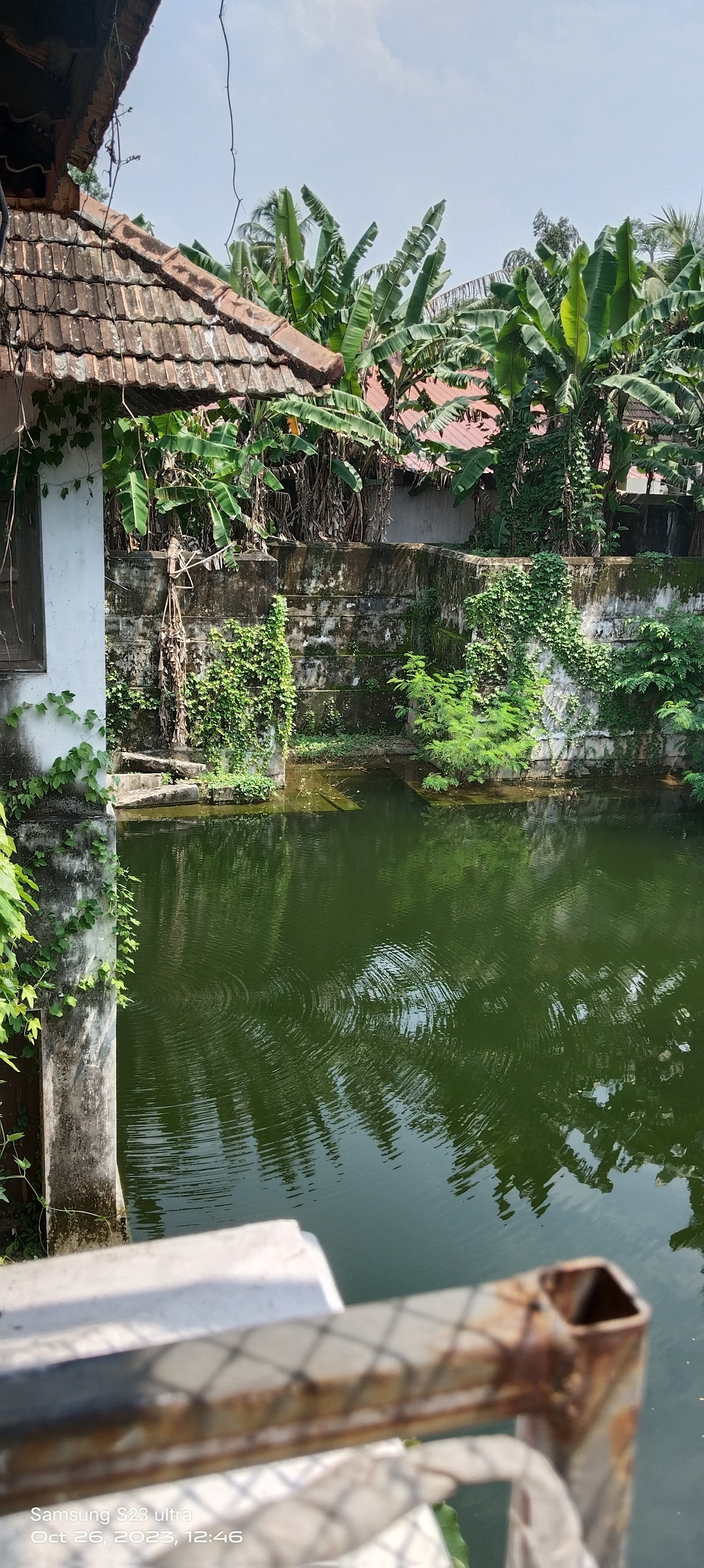 Sree Ananthasayanam Kalyana Mandapam, Thiruvananthapuram — photo 3