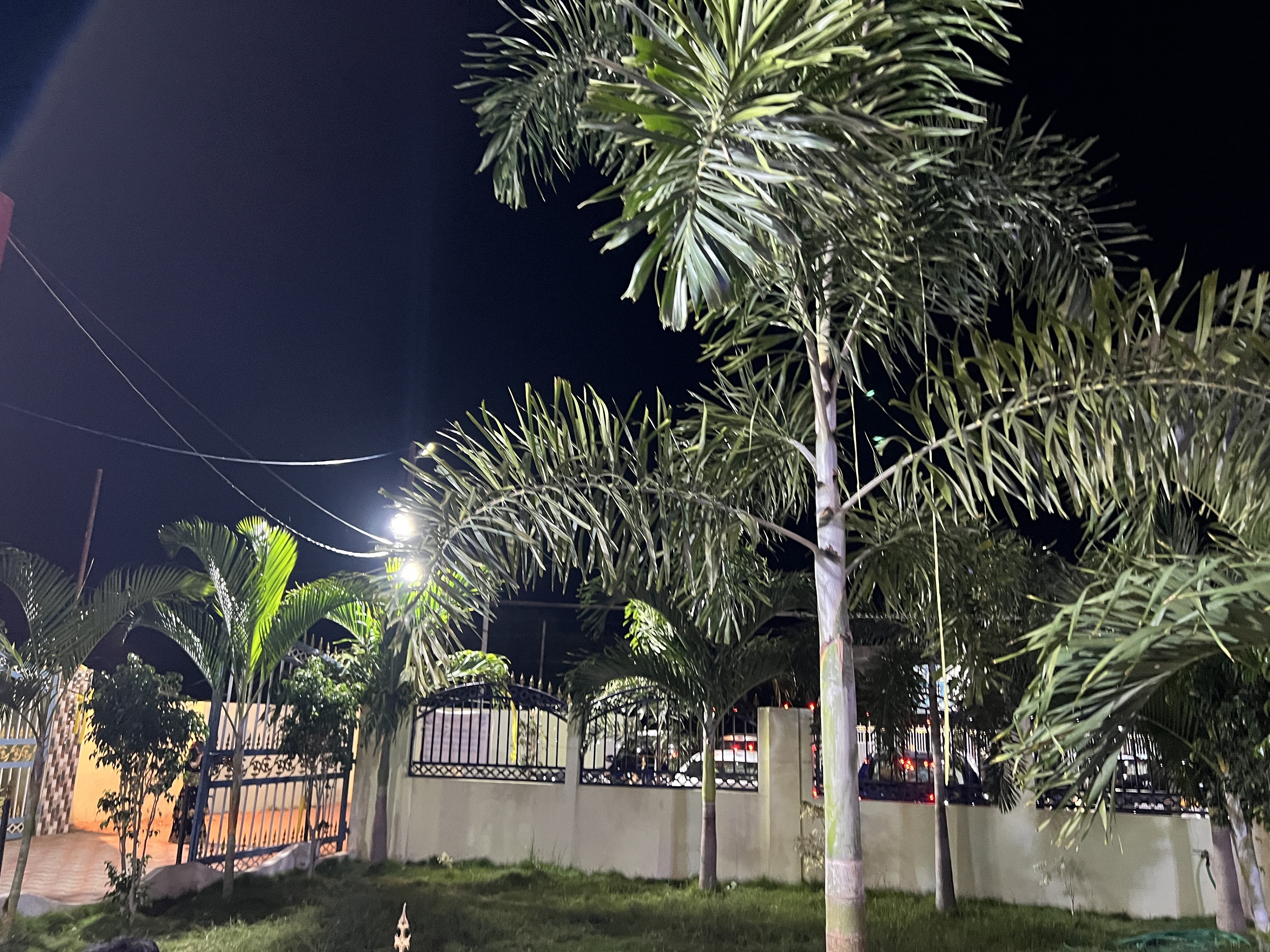 MS Garden Function Hall, Nalgonda — photo 5