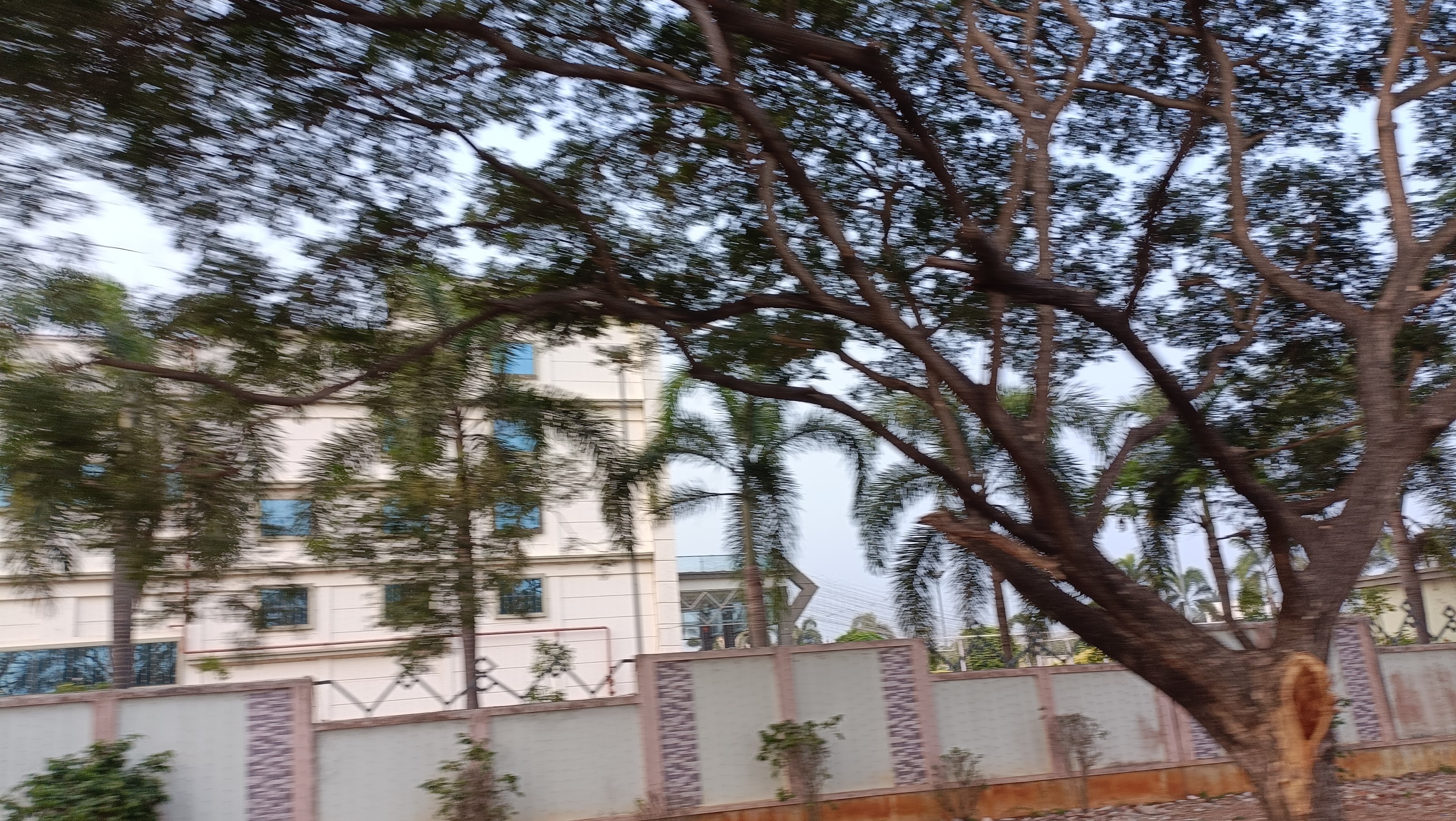Sree Convention Centre, Eluru — photo 6