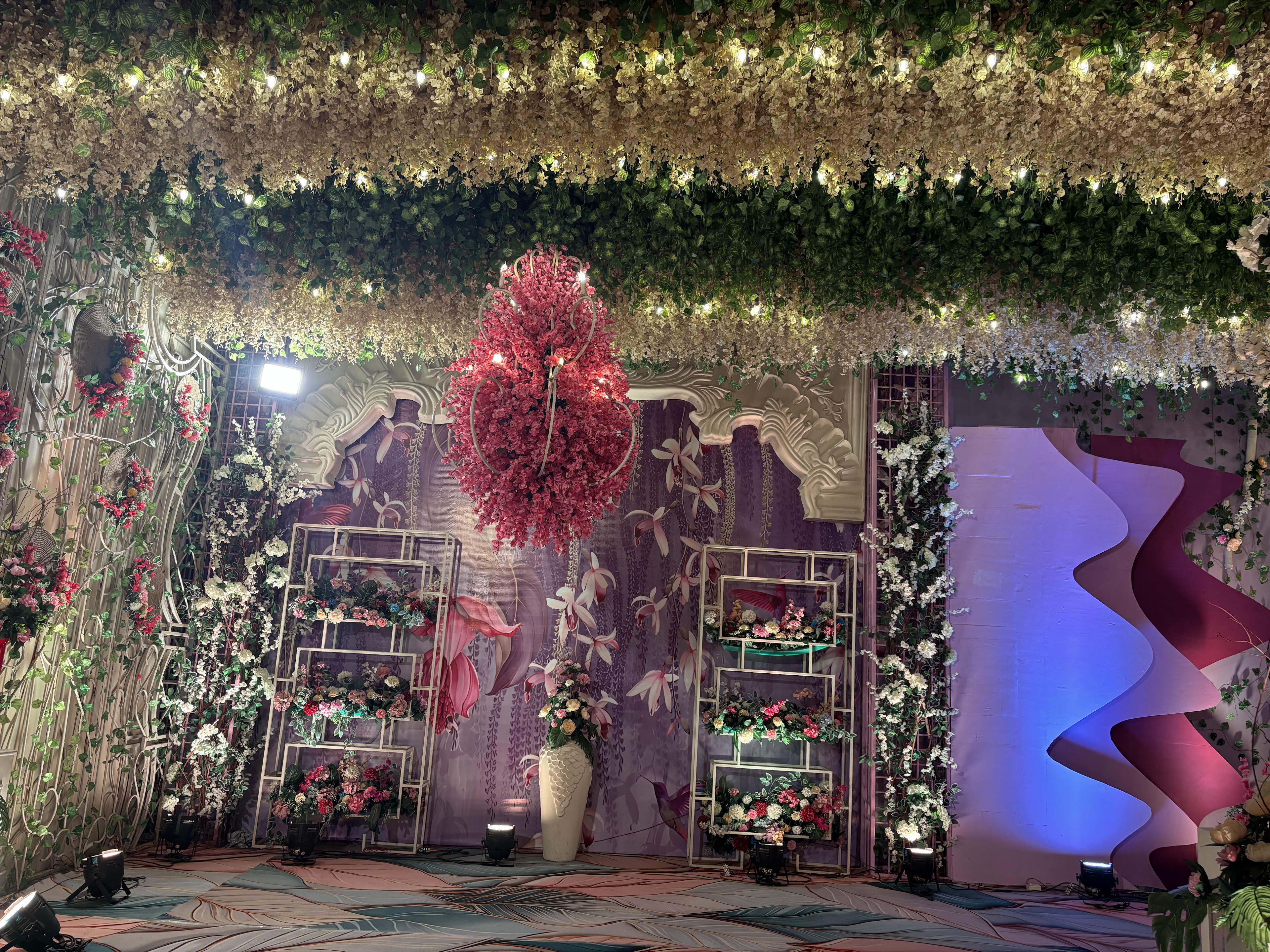 Purple Orchids, Surat — photo 4