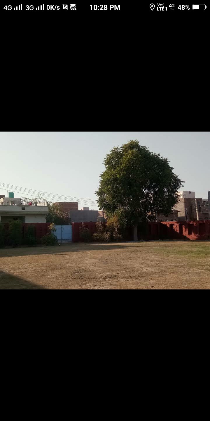 Baag Bikana Marriage Garden, Bikaner — photo 10