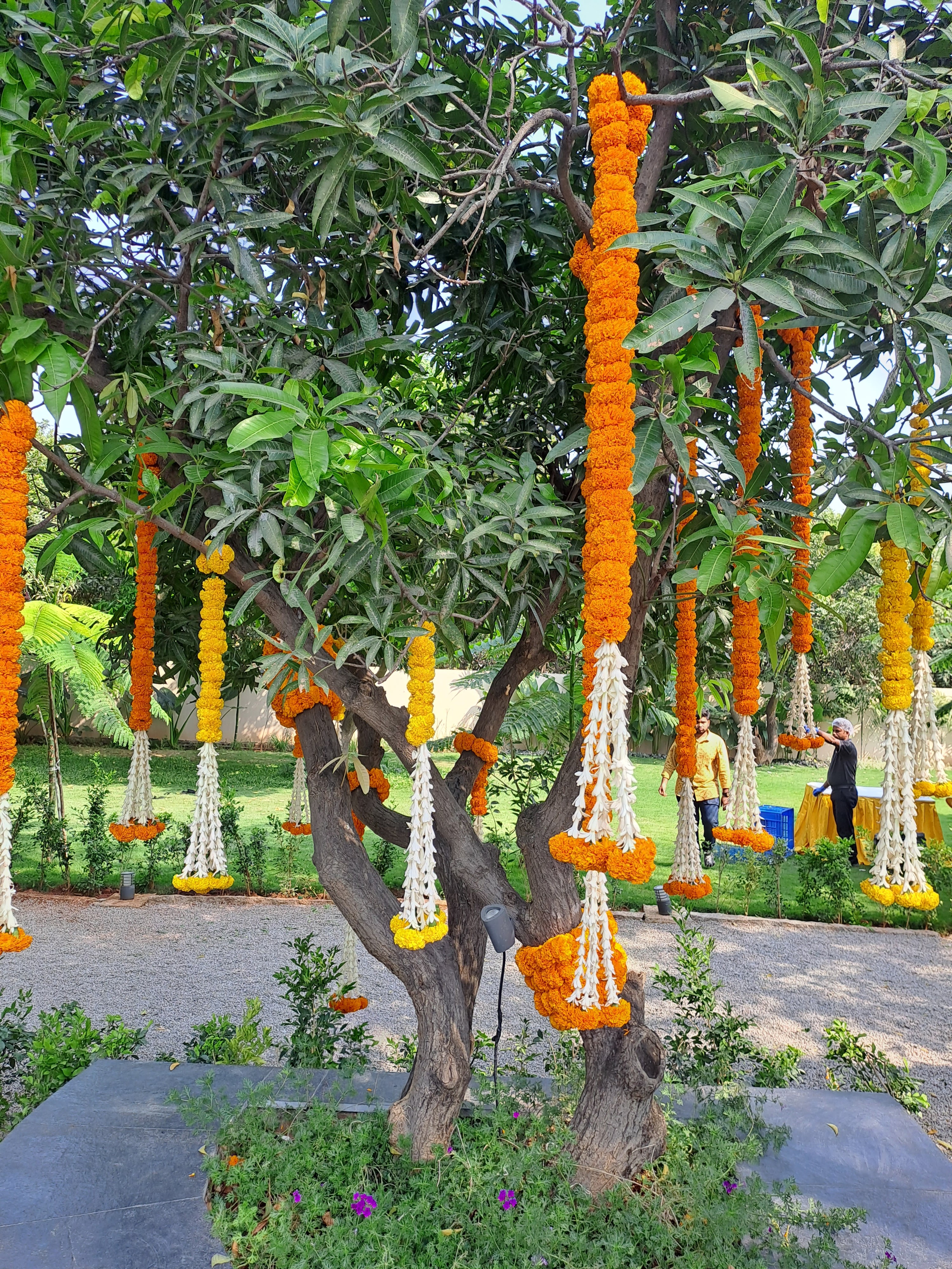 The Hive (Address Of Happiness), Hyderabad — photo 7