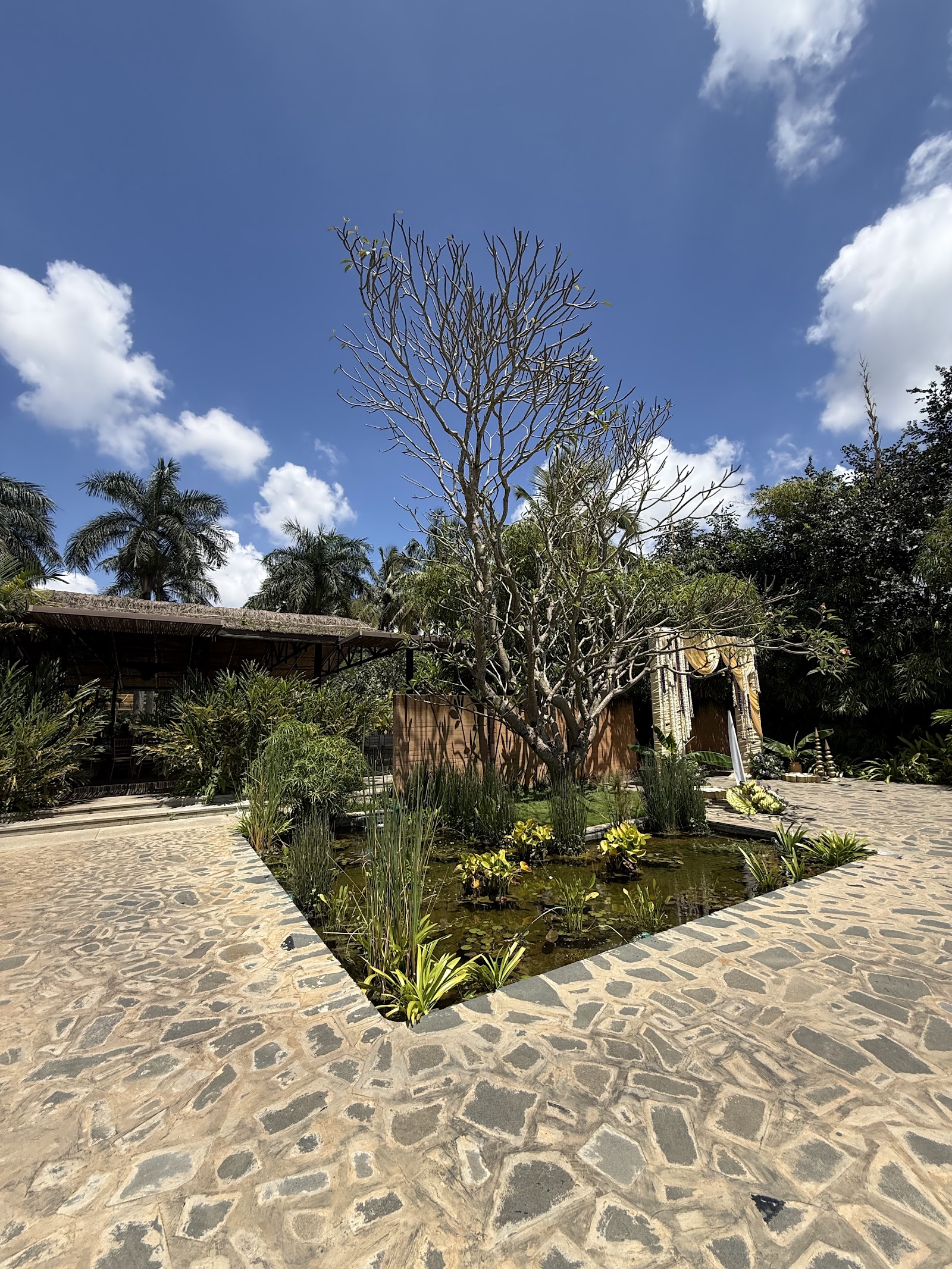 Sumatra Wedding Venue, Bengaluru — photo 2