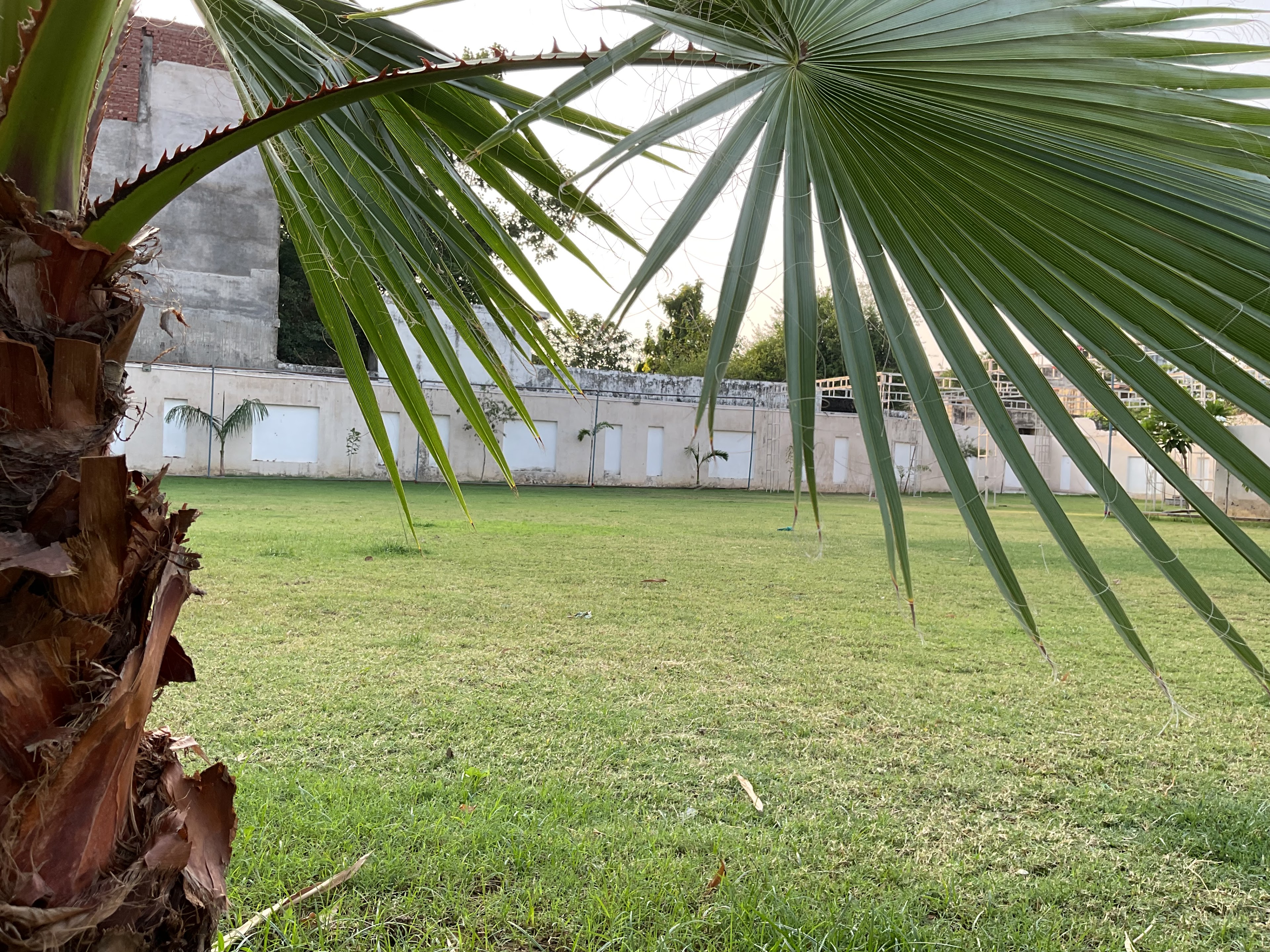Sahara Greens - Banquet Lawn, Bareilly — photo 2