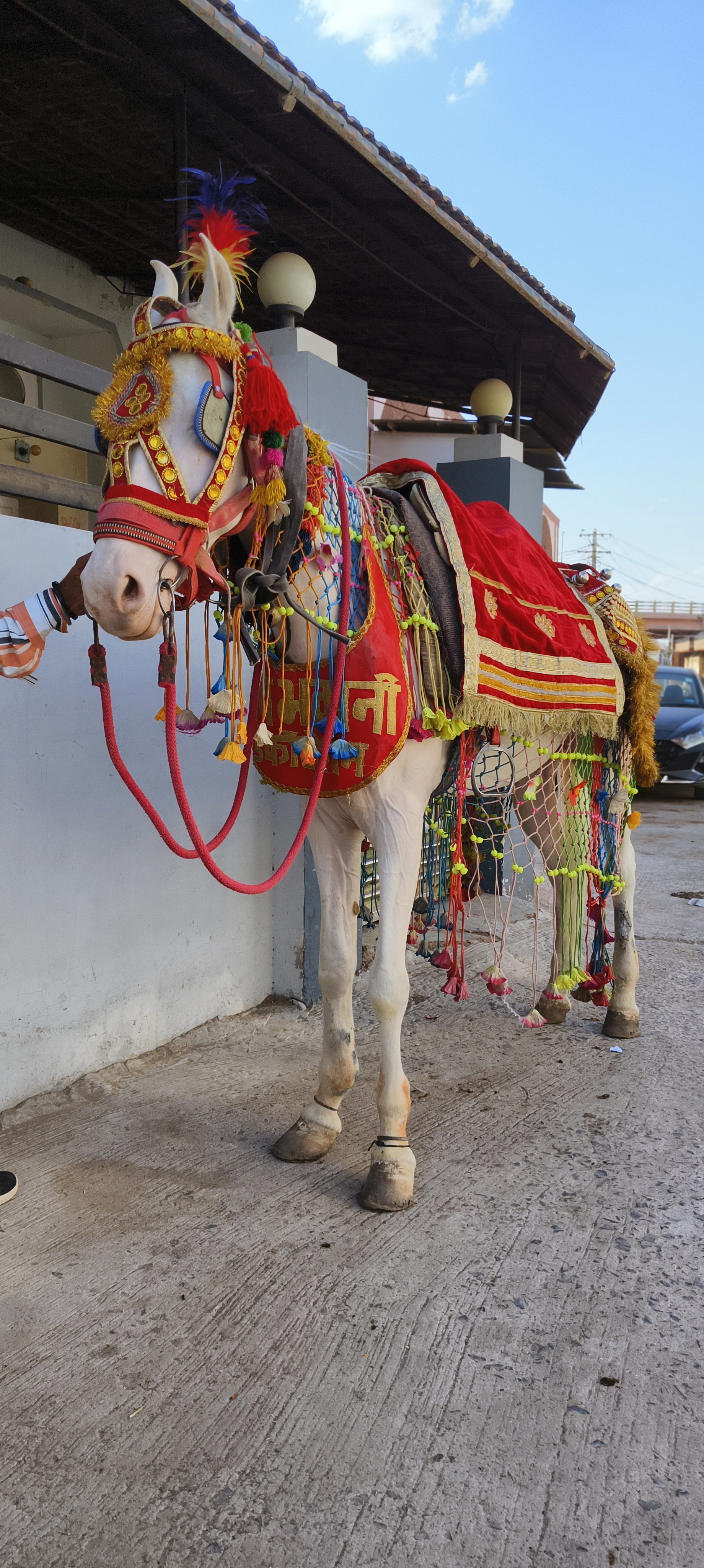 Baag Bikana Marriage Garden, Bikaner — photo 1