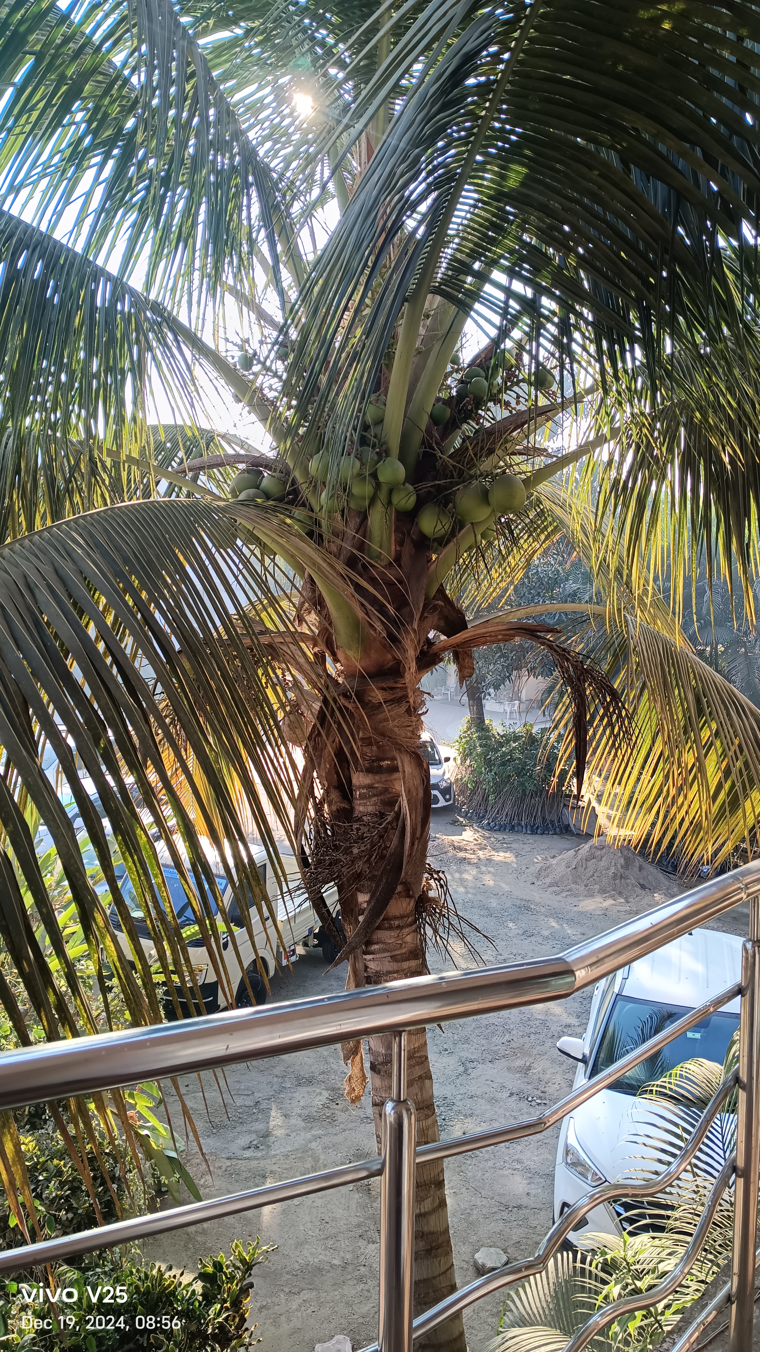 Gopal Sadan, Jabalpur — photo 7