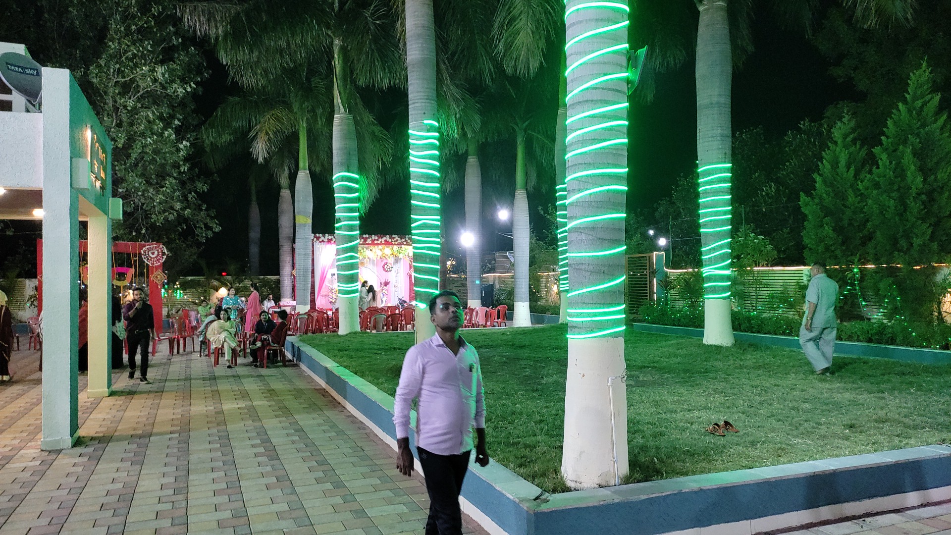 Palm tree house, Bhopal — photo 6