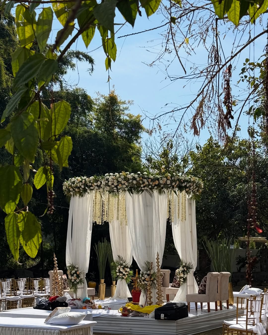 Pleasant Tree Hotels - Destination Wedding in Dehradun, Dehradun — photo 8