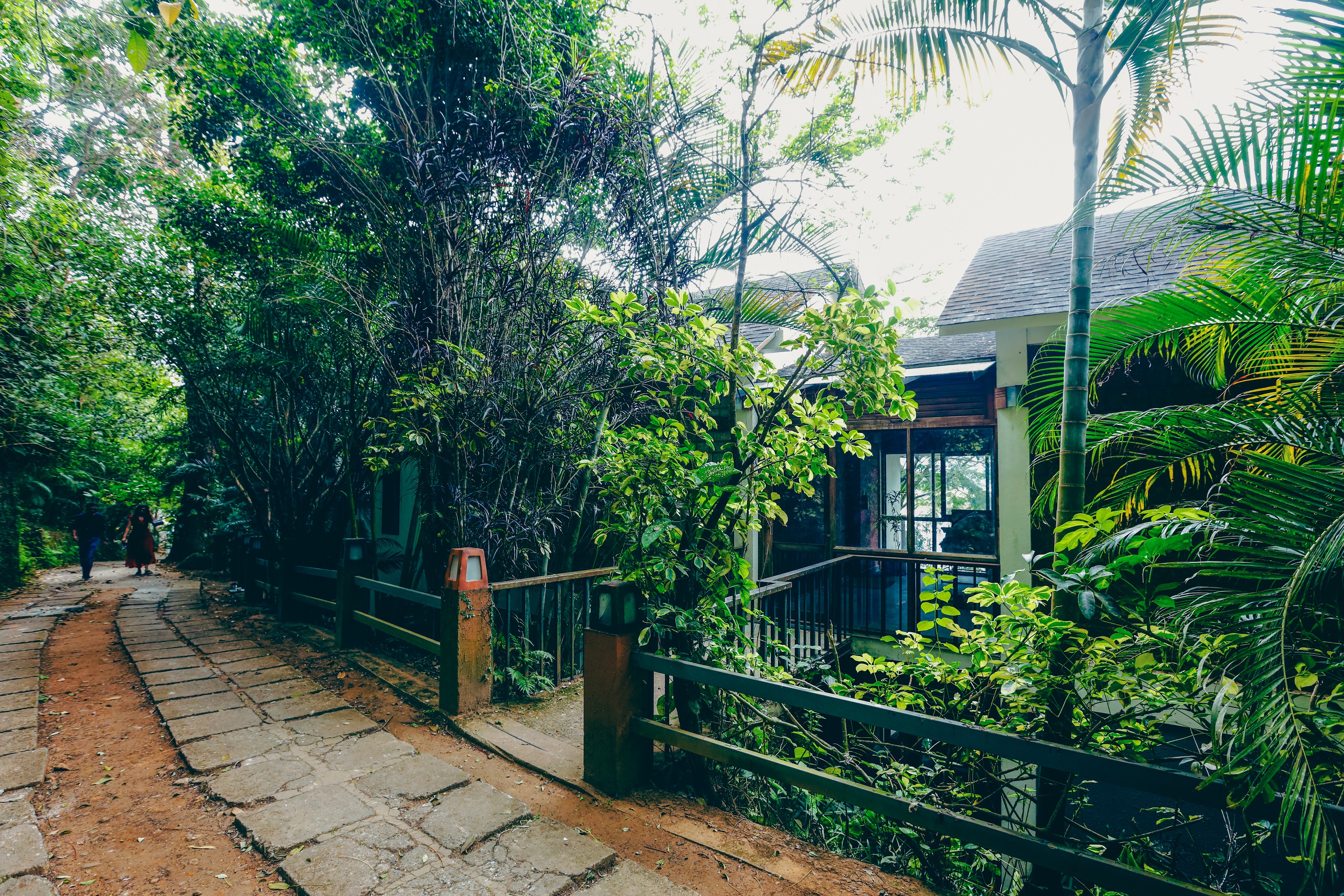Wayanad Silverwoods Resorts, Kalpetta — photo 5