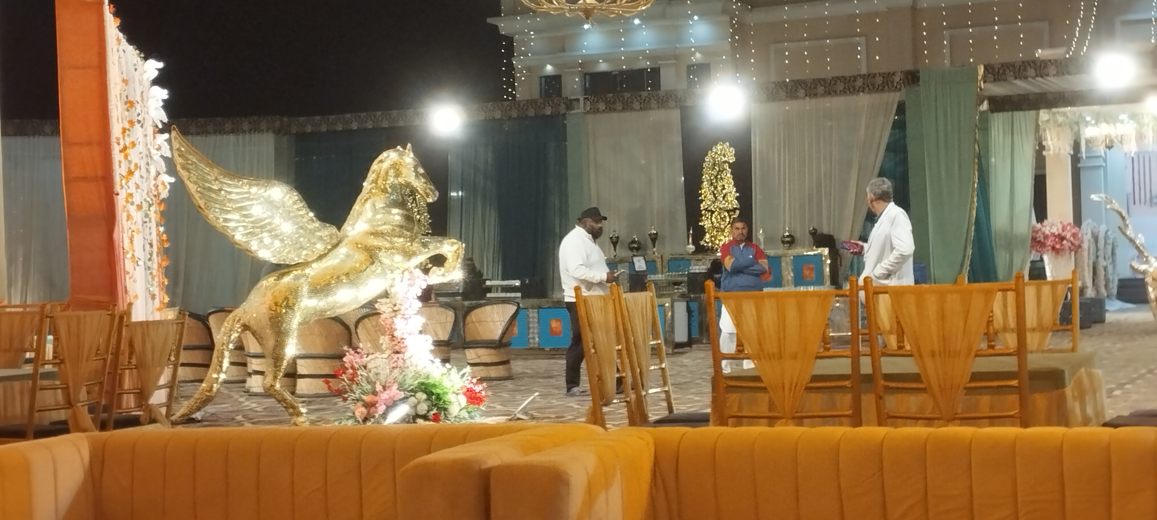 Rattan Palace, Hisar — photo 5