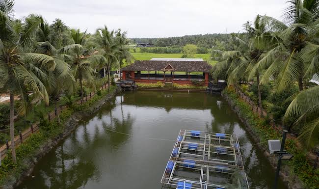 Farm Rock Garden, Kozhikode — photo 2