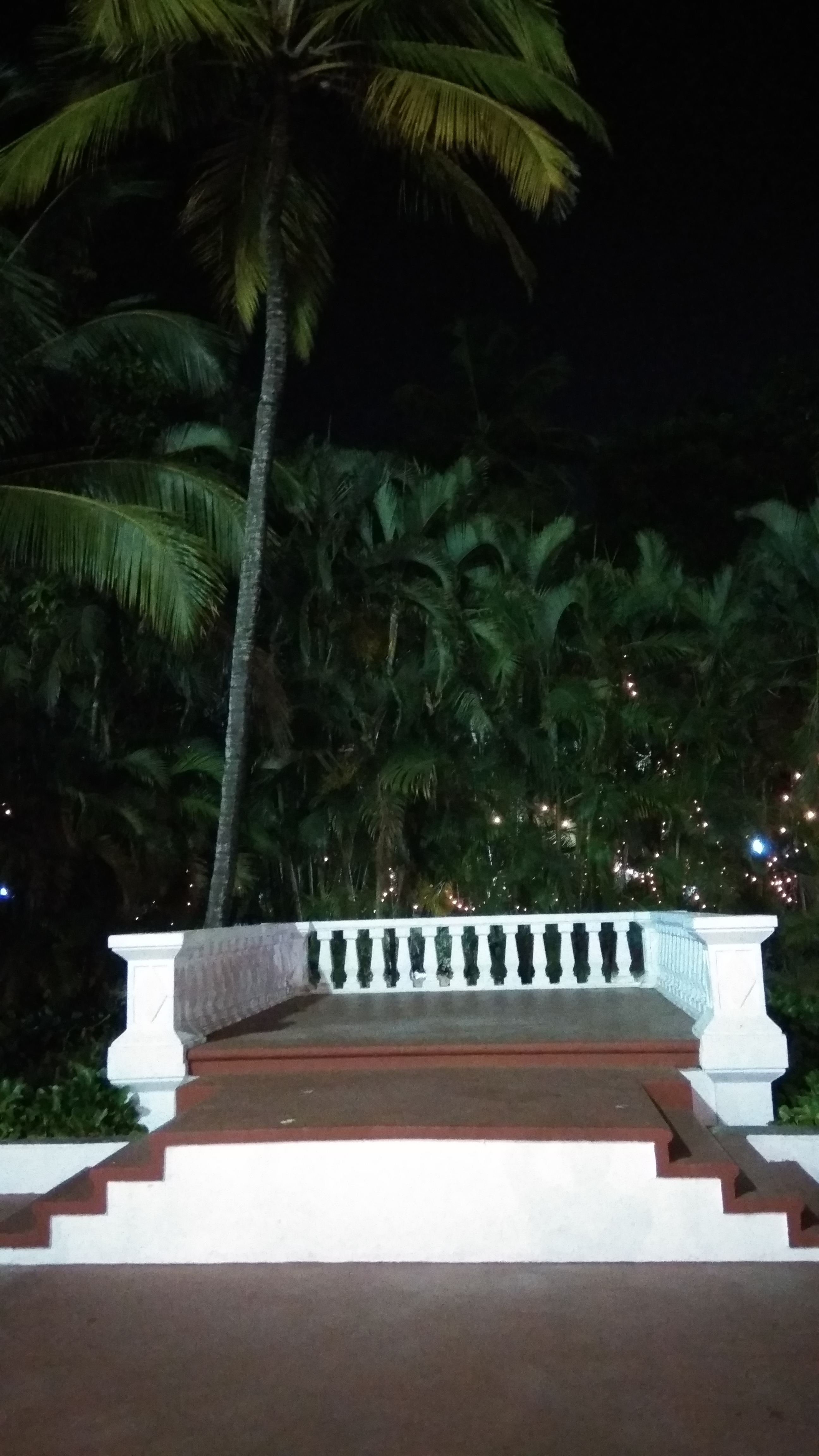 Green Acres, Panaji — photo 8